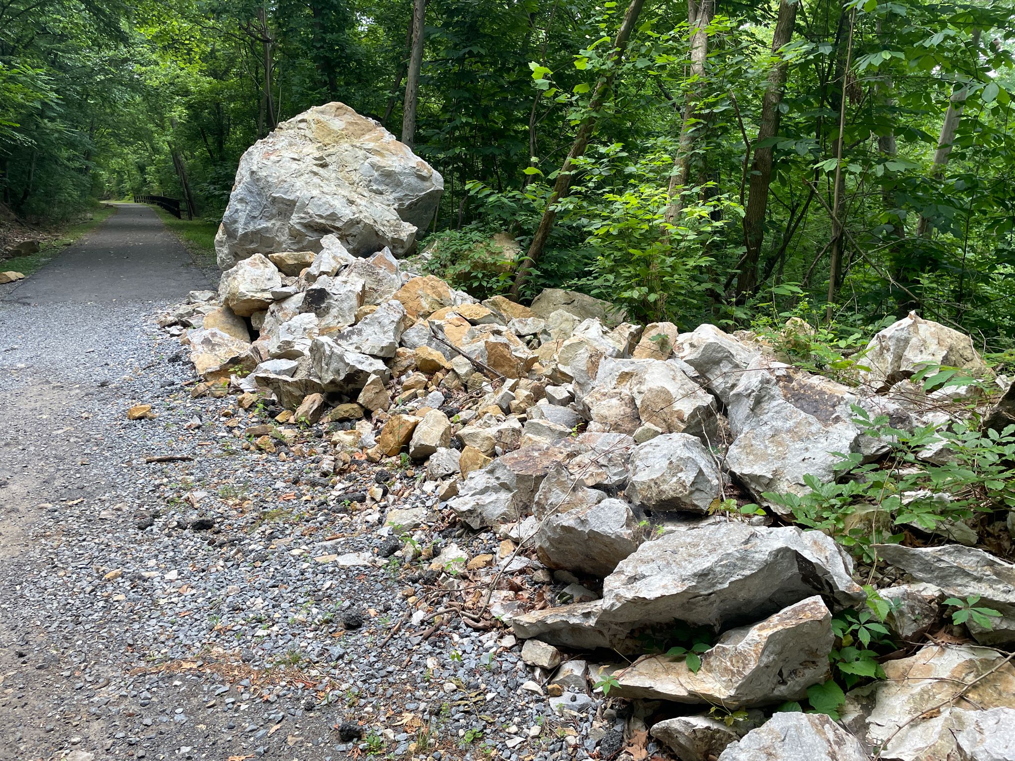 Large rocks and debris block a gravel path in a green forest. - Buddy Lou's Restaurant – Indigo Neck Primitive Campsite loop from Fort Frederick State Park
