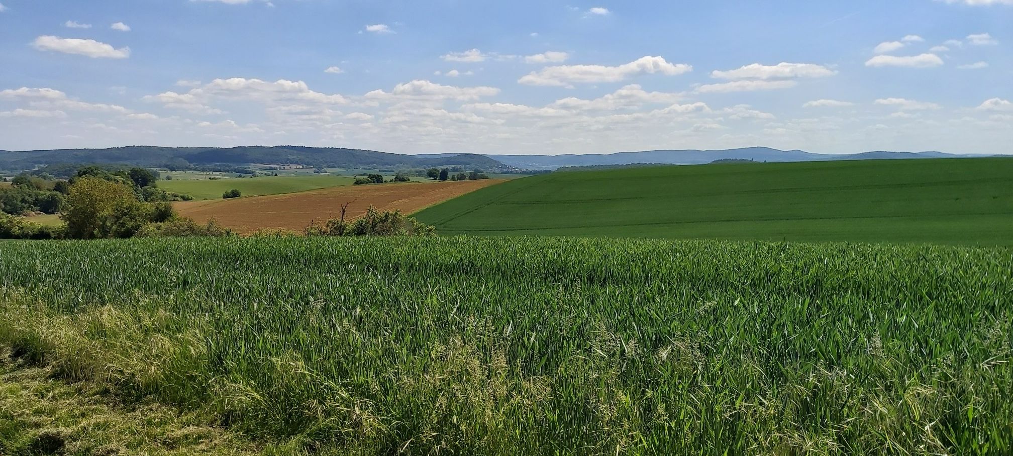 Spessart