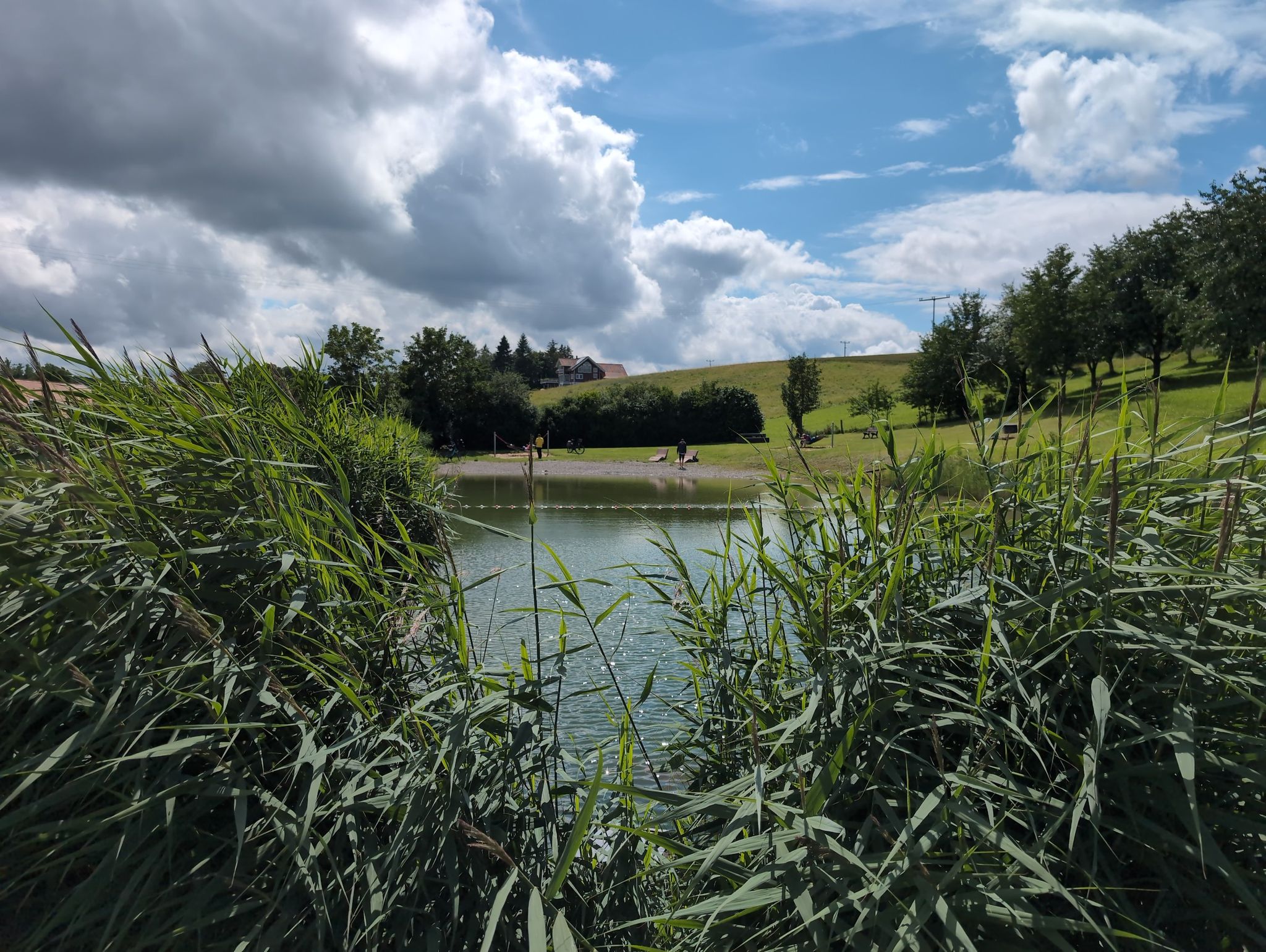 Weiher Diebach