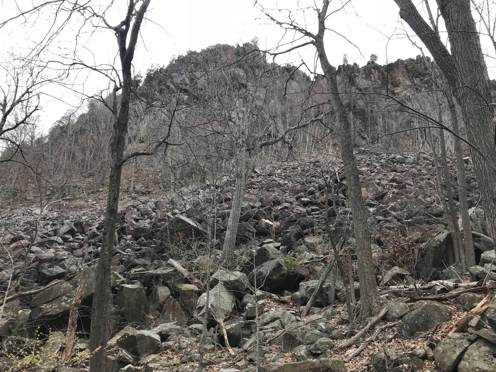 Rocky slope with bare trees leading to a cliff under an overcast sky. - Sleeping Giant Head White Trail