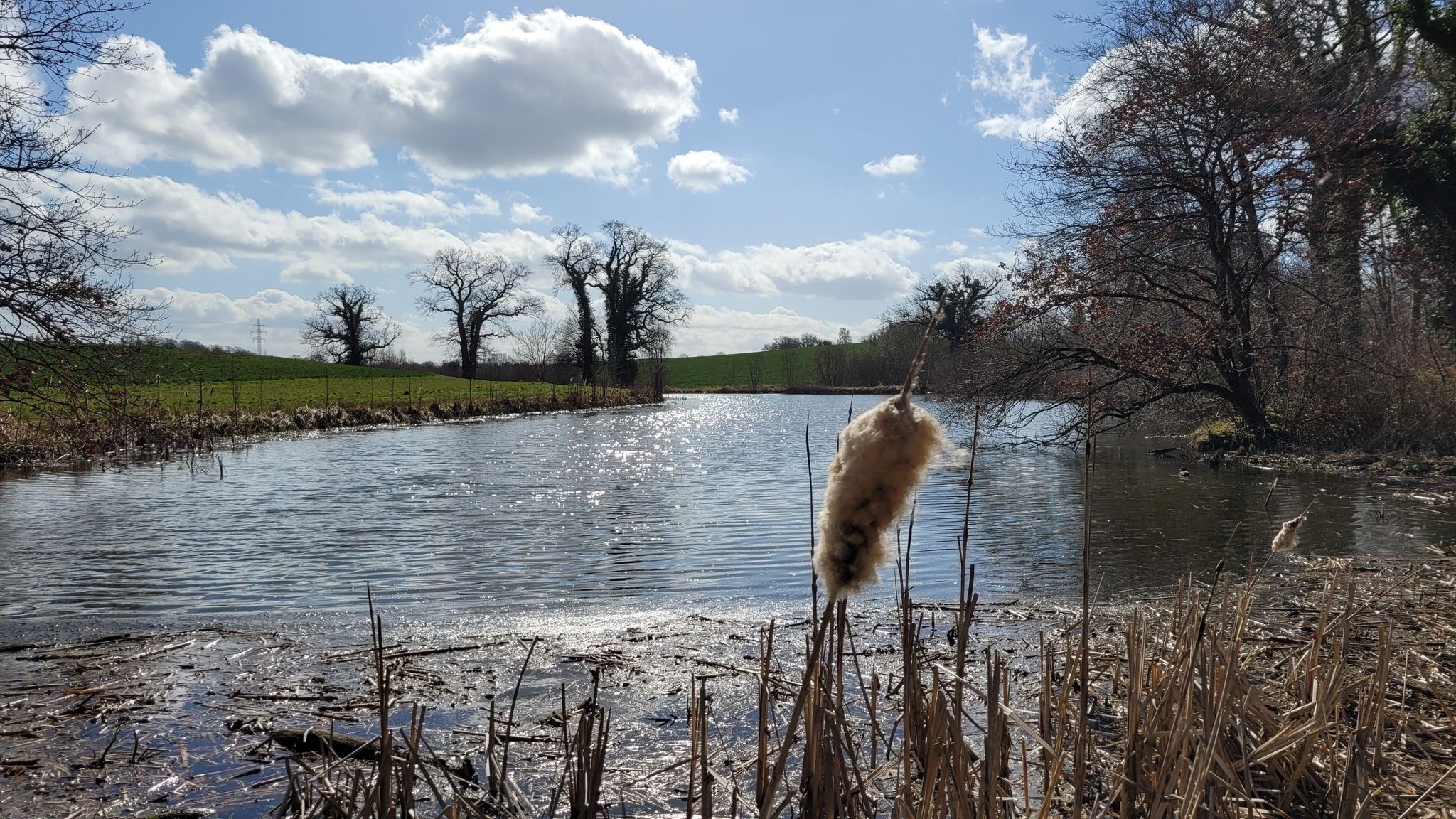 Und ein weiterer schöner Fischteich am Wegesrand.