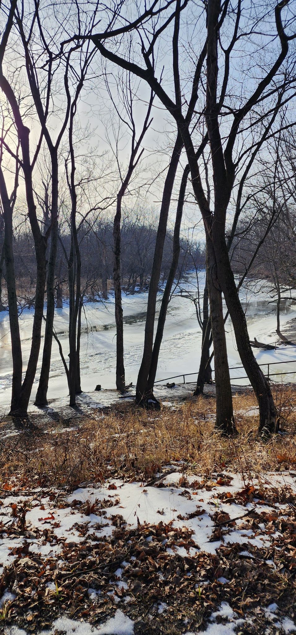 Bare trees frame a snowy, frozen landscape under bright winter sun. - Catherine Chevalier Woods River Loop