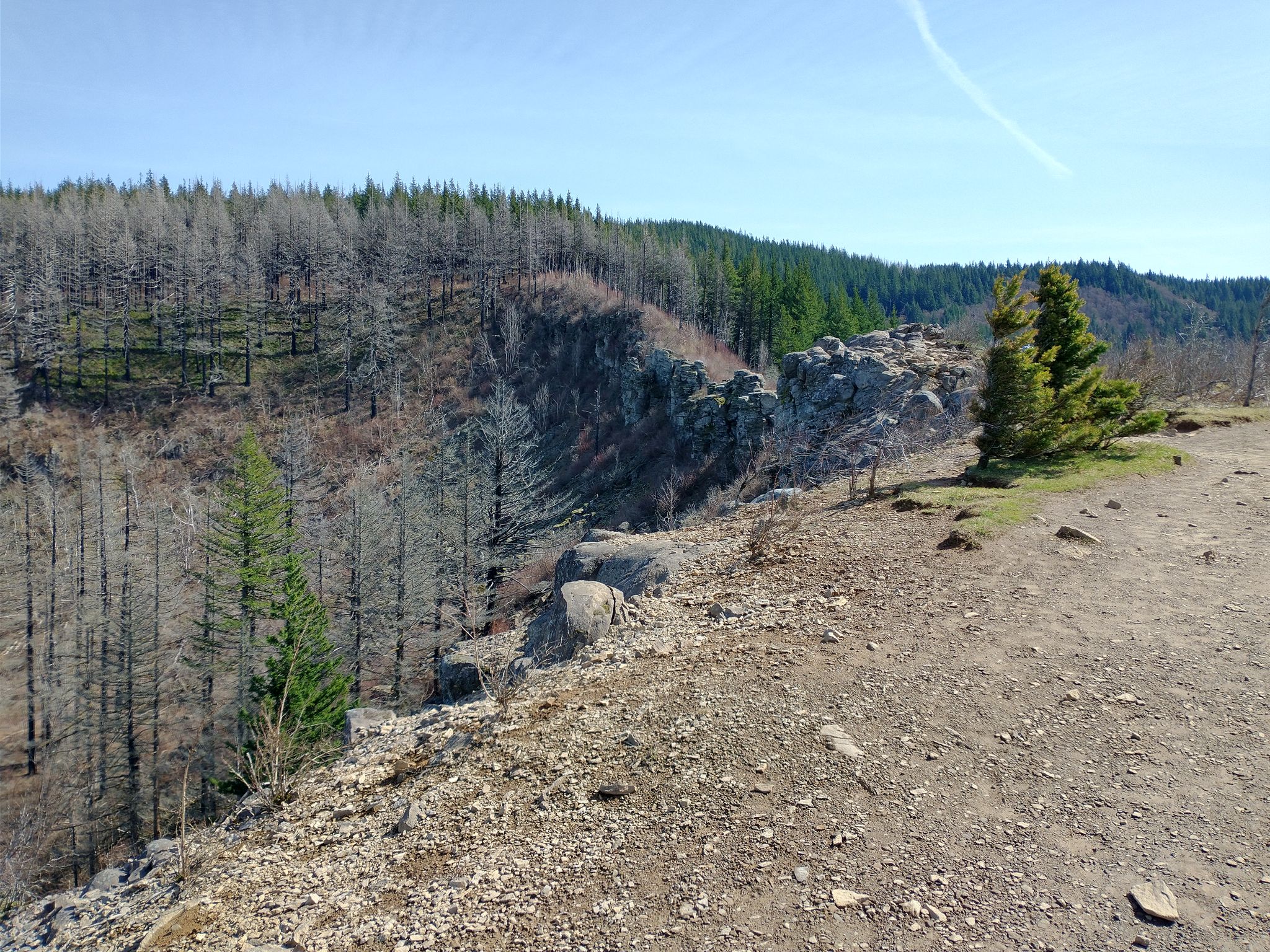 Rocky cliff edge overlooking a valley with dead and green trees under a clear sky. - Angel's Rest Trail