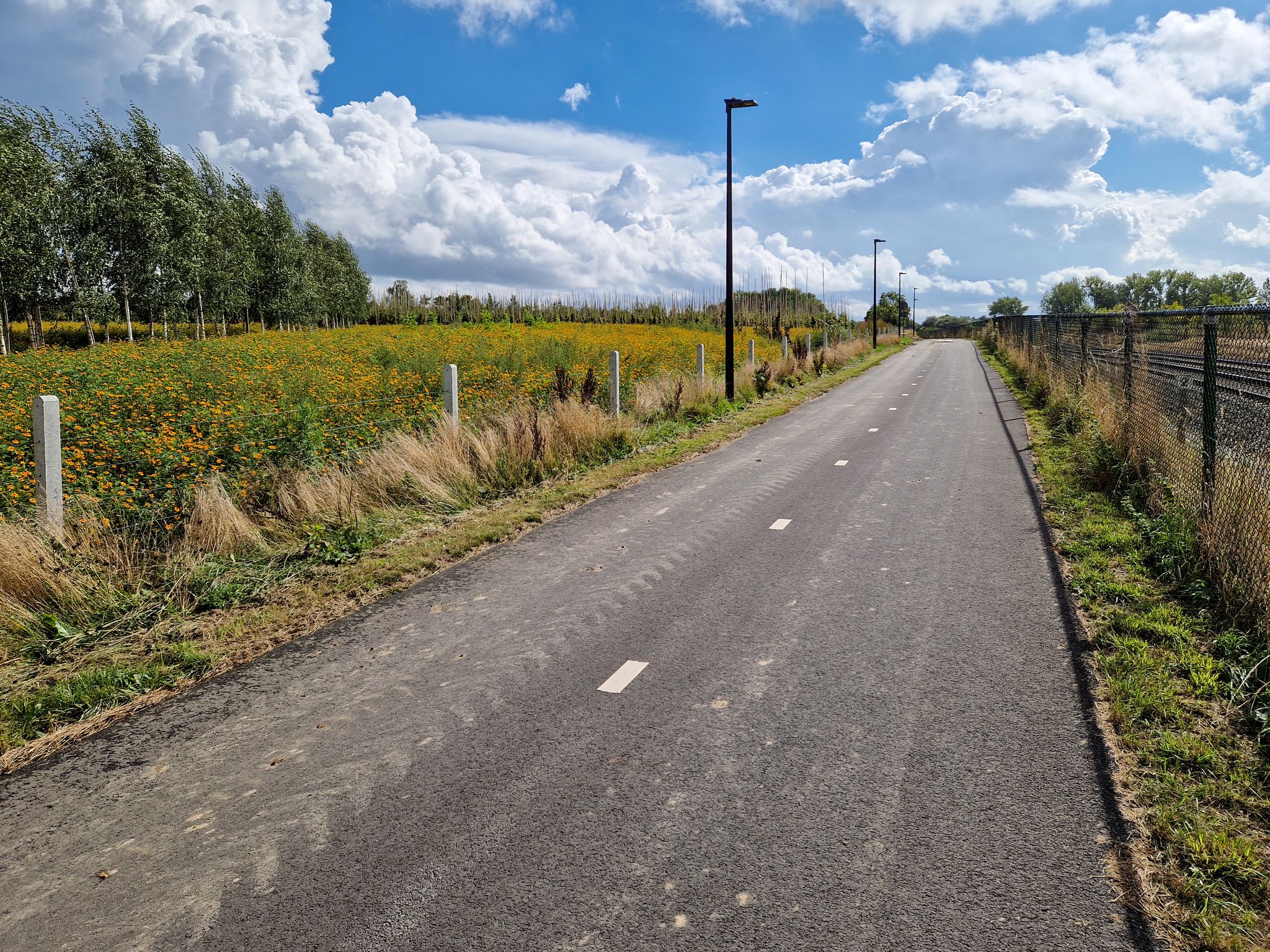 Het fietspad langs de spoorweg richting Scheldewindeke