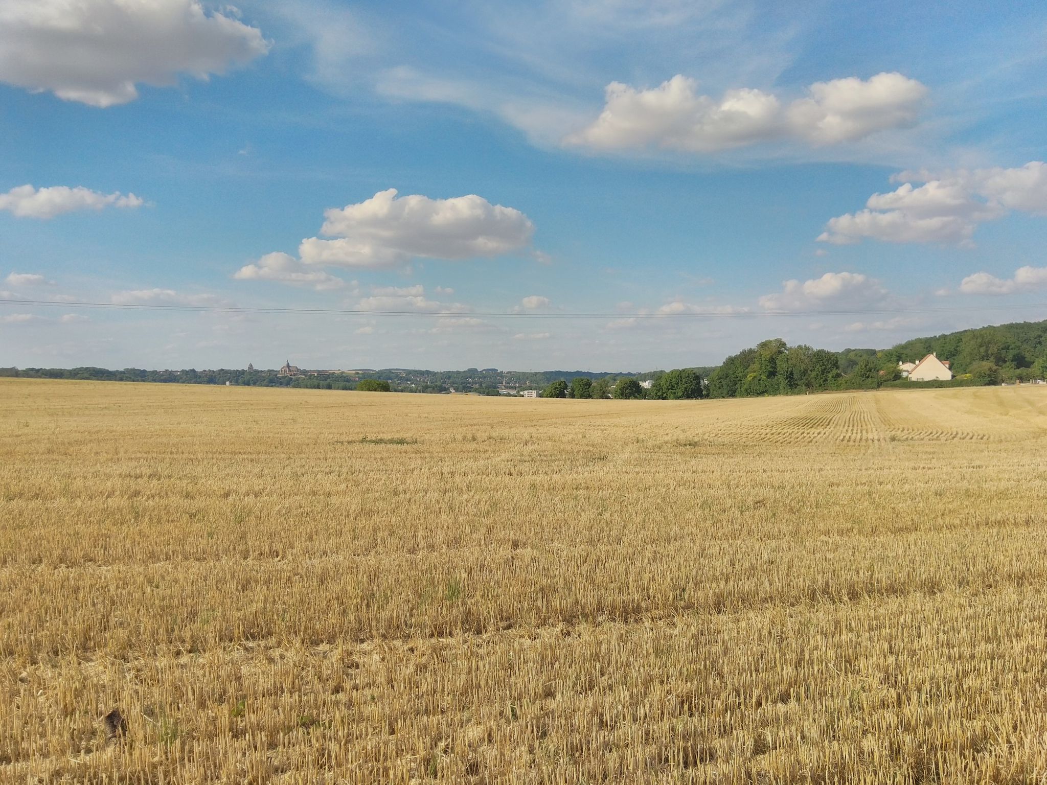vue sur Provins et la ville haute