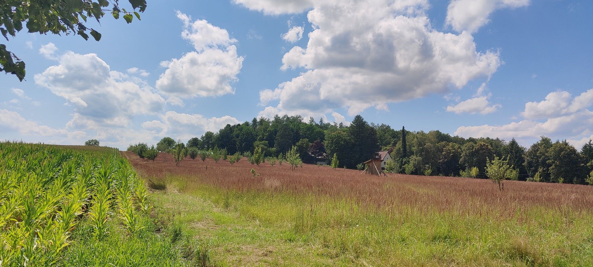 Blick vom "Münchner Berg" bei Fürstenfeldbruck Richtung Süden
