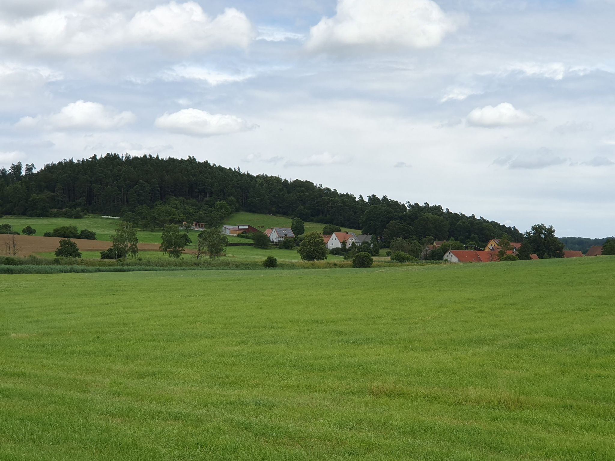 Rückblick auf Bortenberg