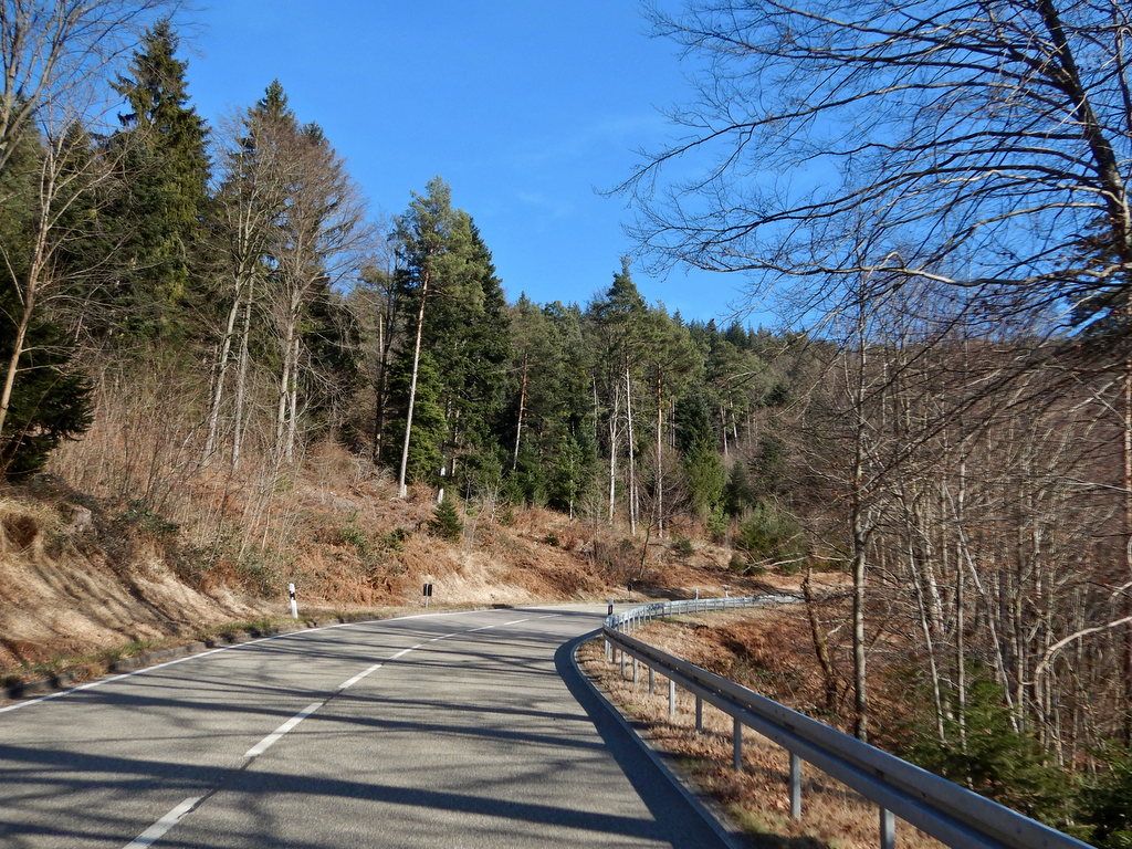Sanfte Steigung hinauf zum Streitberg