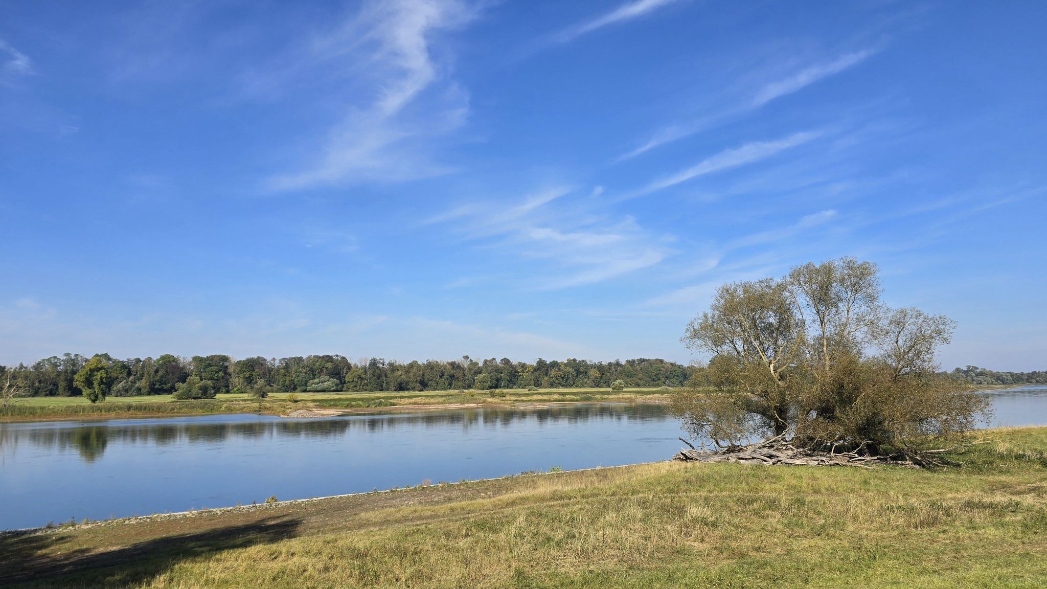 Blick auf die Elbe