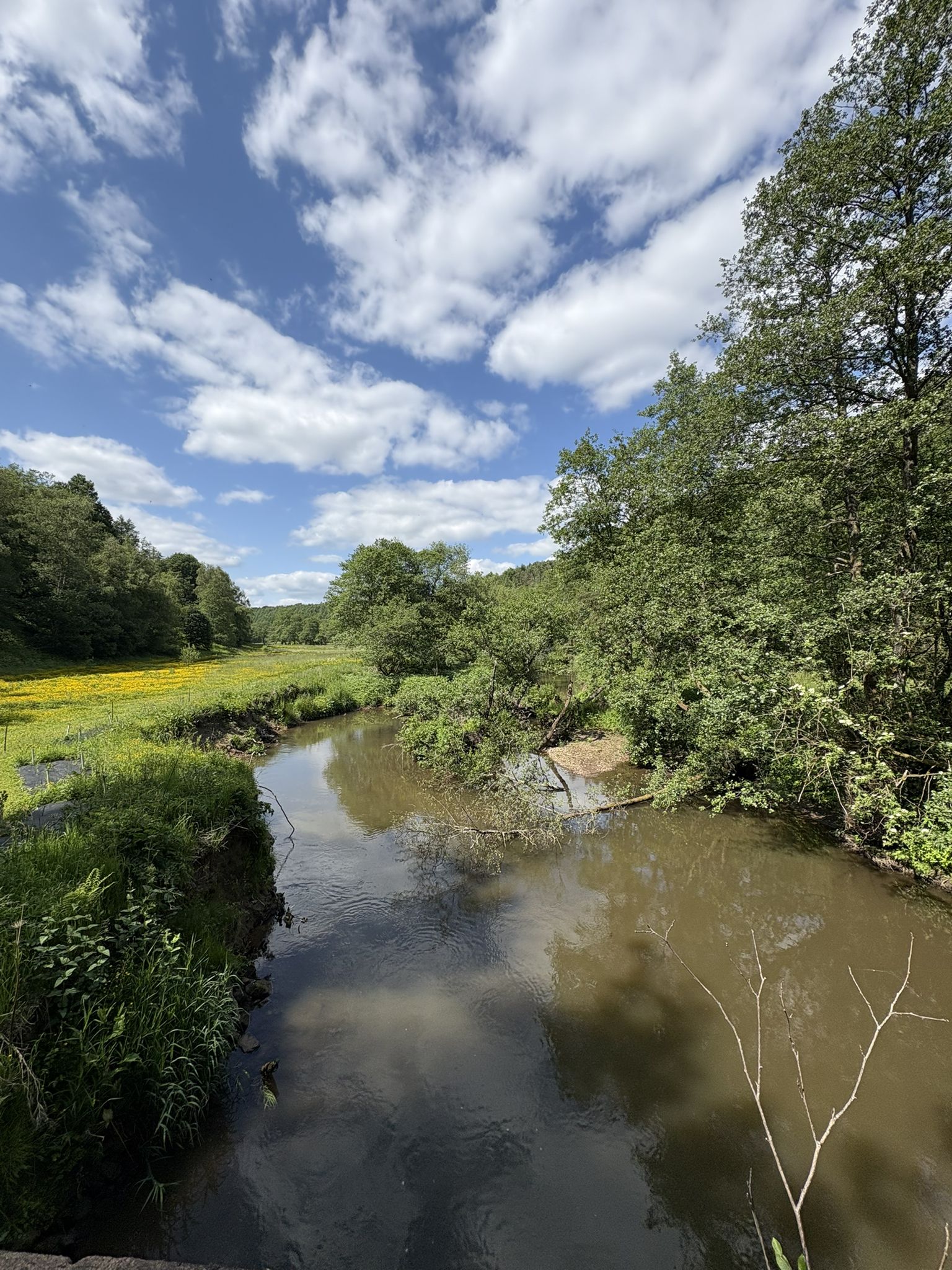 River Churnet at Lord's Bridge