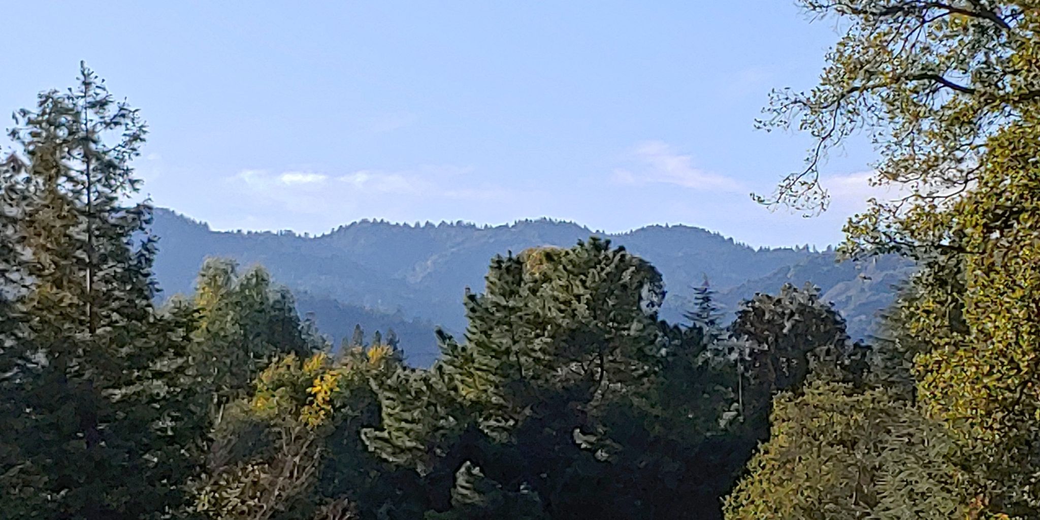 Top of Crisp