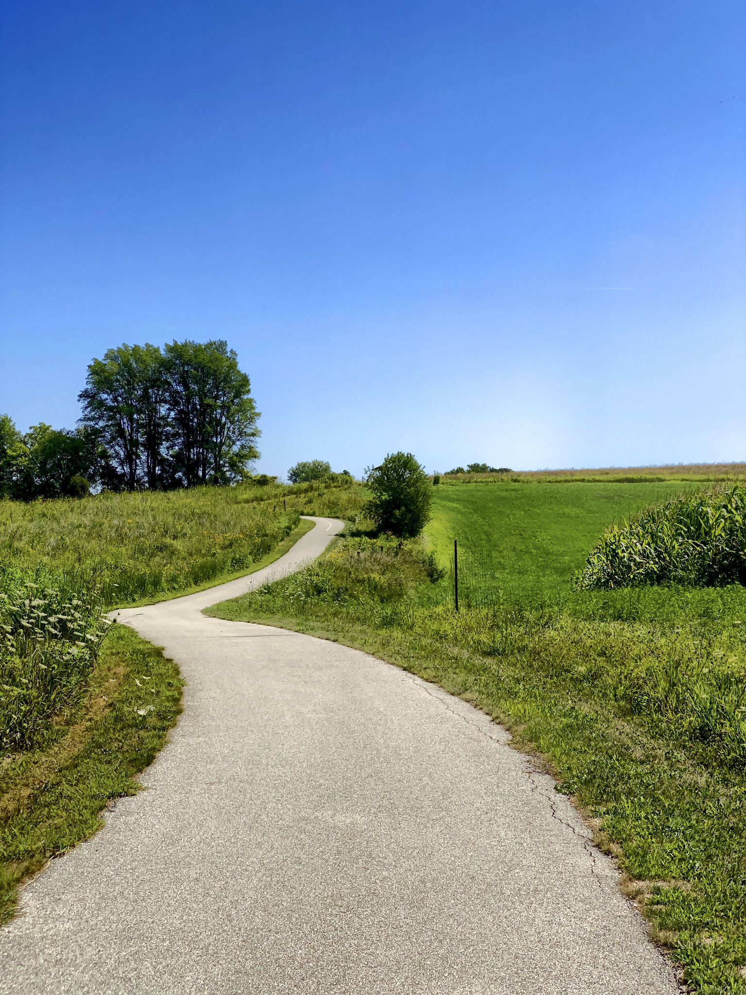 Paved path curves uphill through green fields under a clear blue sky. - Running loop from Decorah