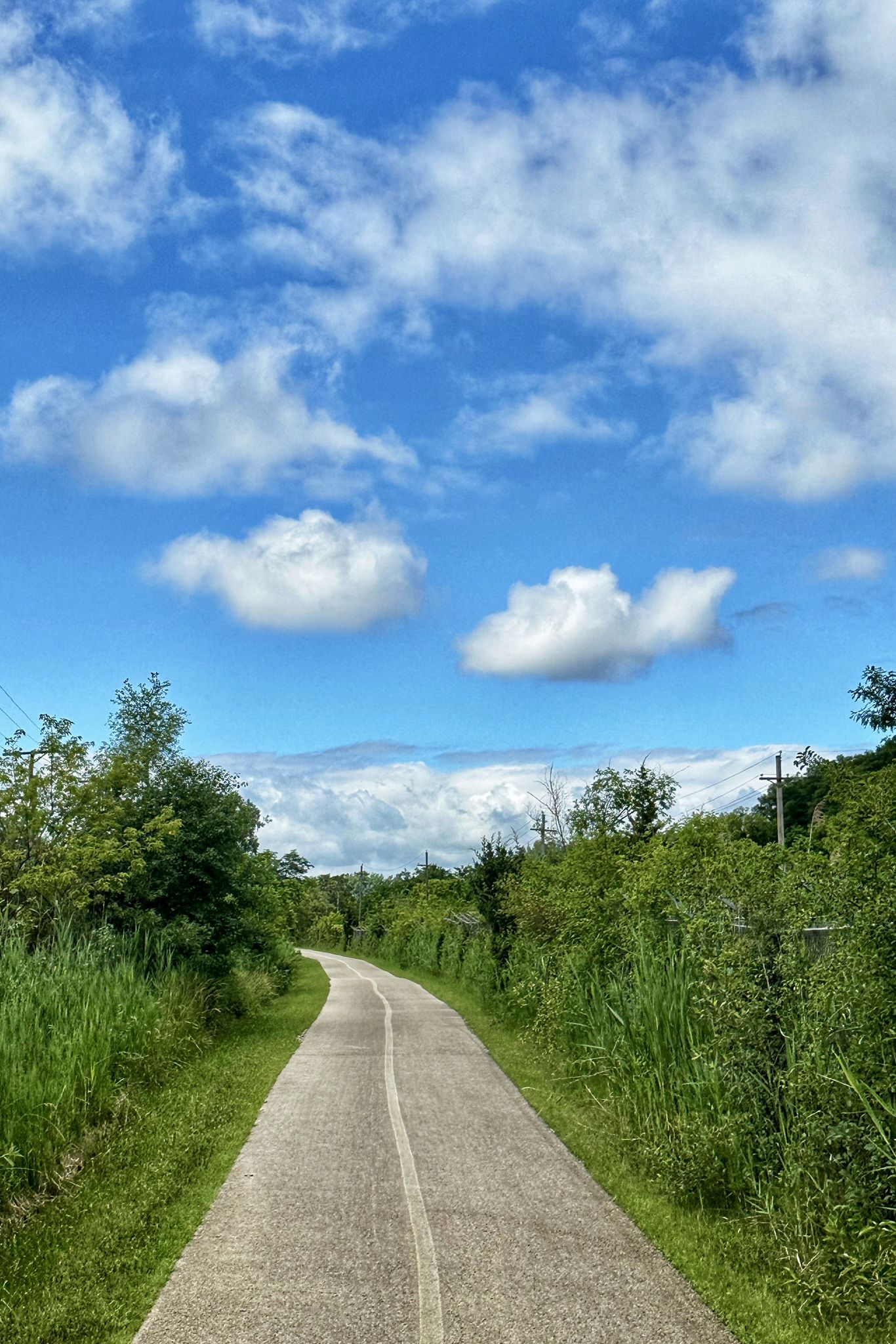 Paved path through green landscape under a bright blue sky with white clouds. - Bike loop from Algonquin