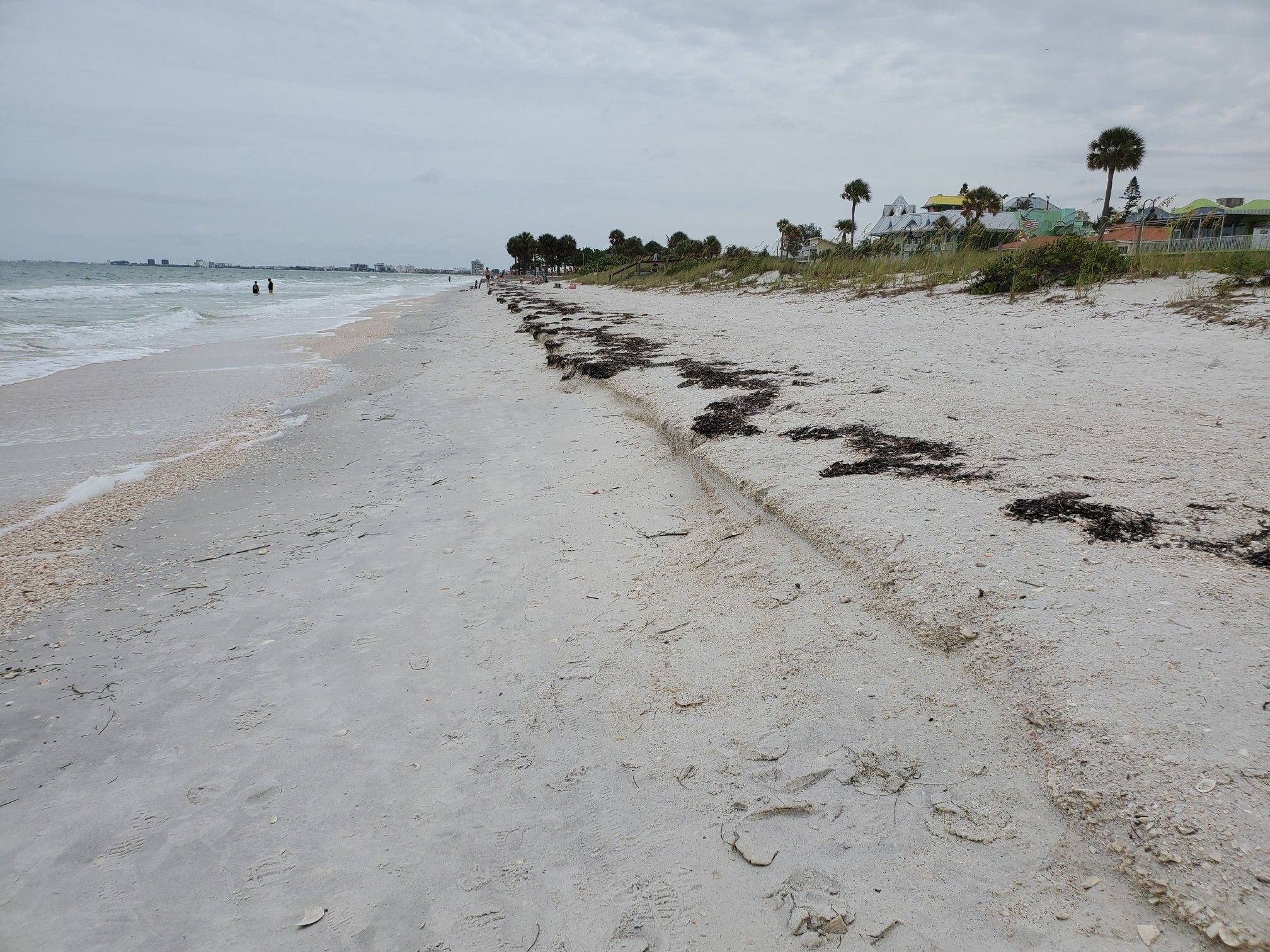 There's a lot of seashells and seaweed on the shore the northern side of Saint Peters
