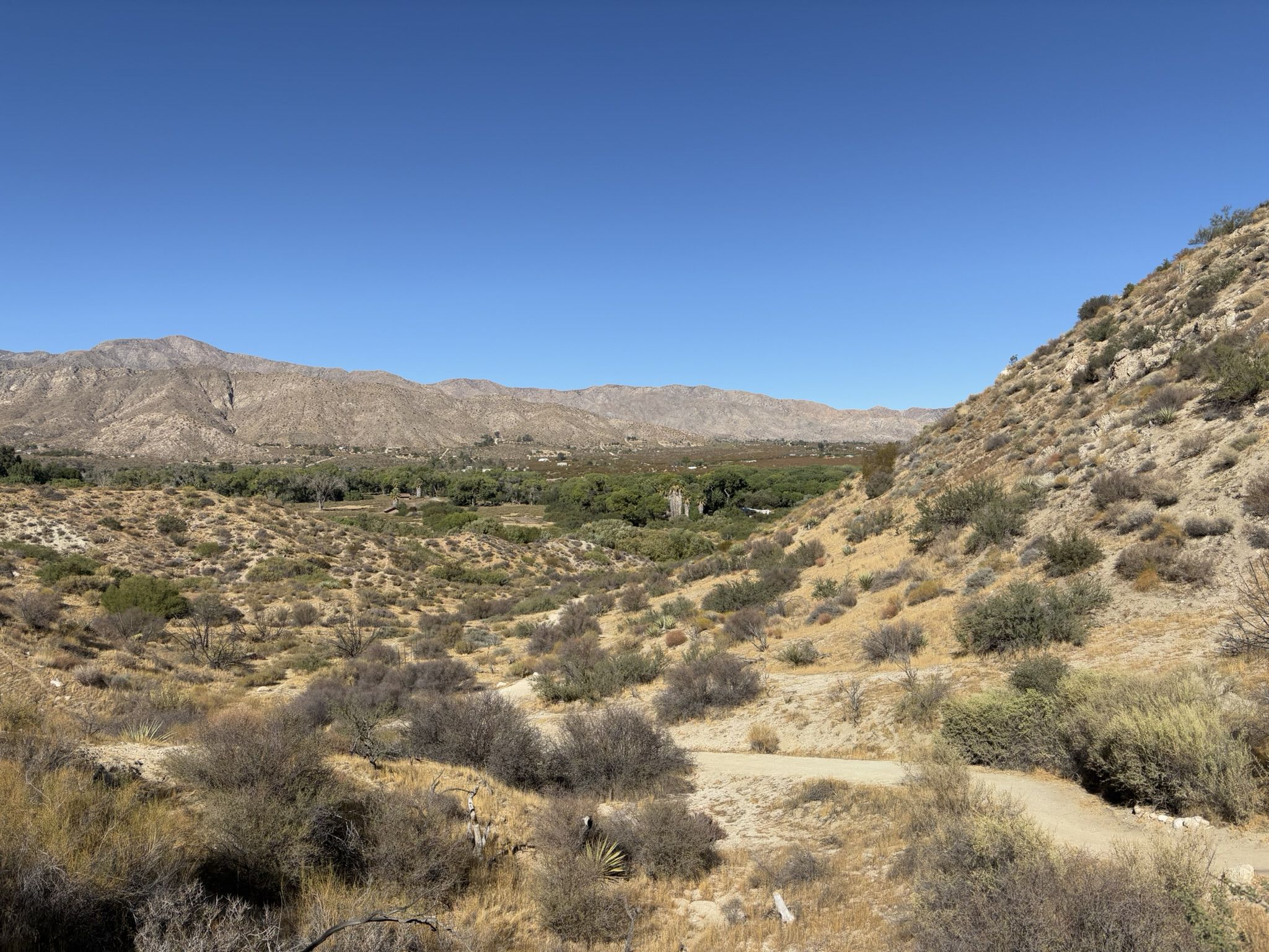 Sunny desert valley with mountains, green oasis, and clear blue sky. - Big Morongo Canyon Trail