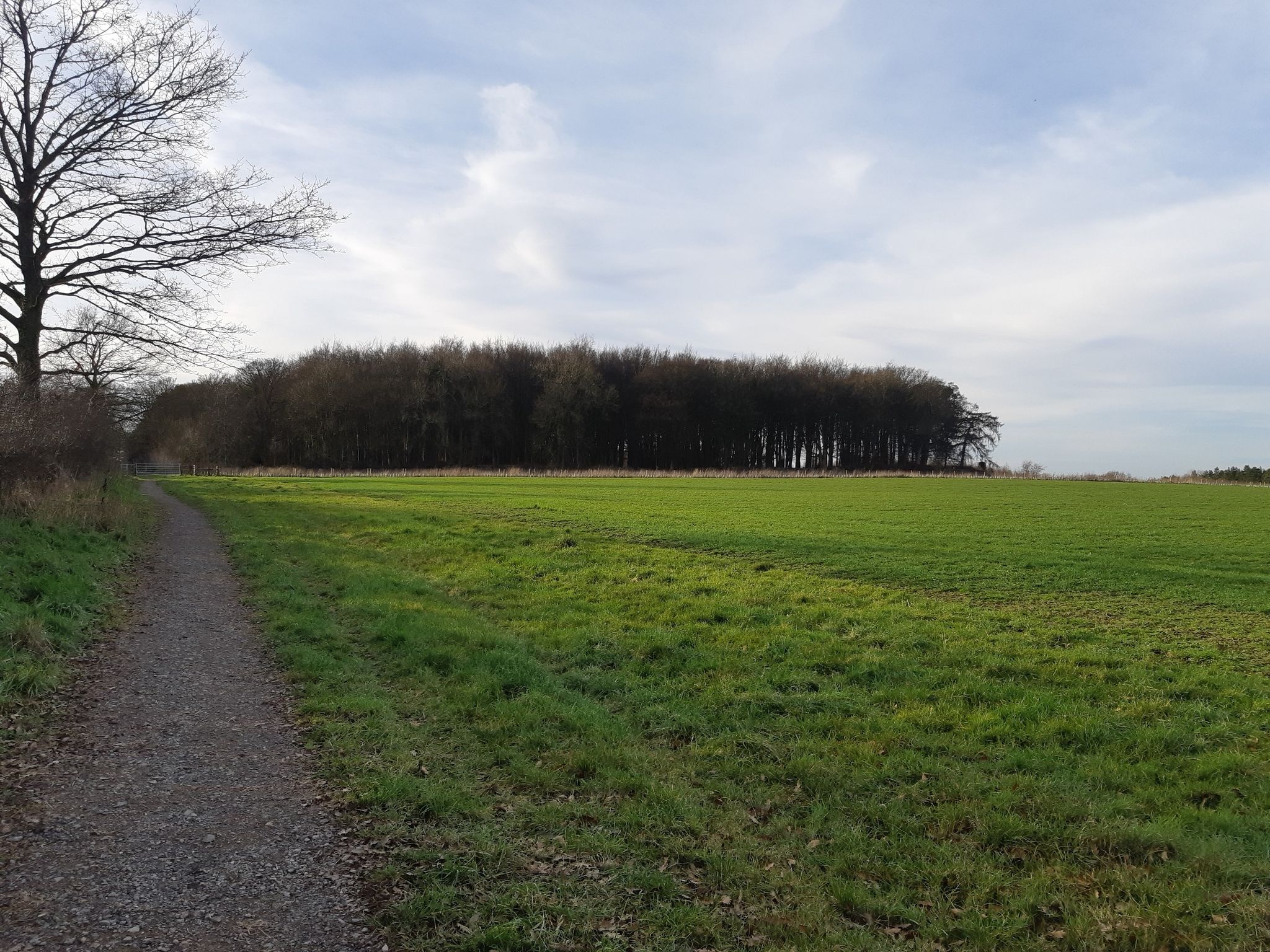 Badbury Hill just off the B4019 between Coleshill and Faringdon