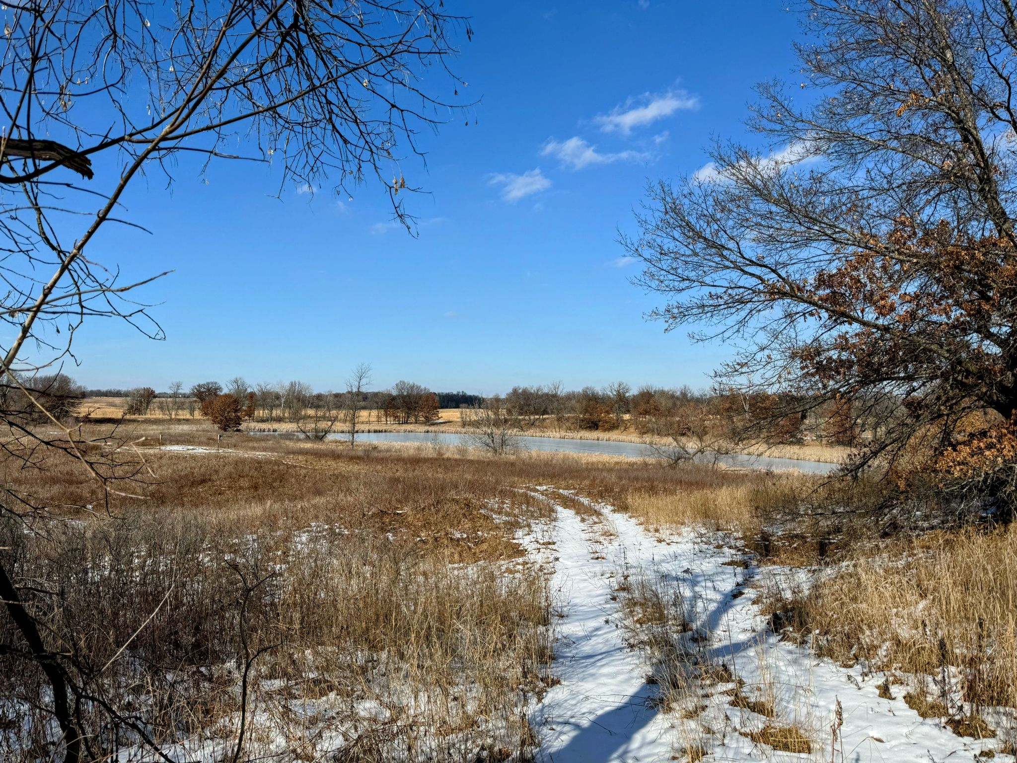 Snowy path through dry grass and bare trees, leading to a frozen pond. - Eagle Point Lake loop from Margaret Lake