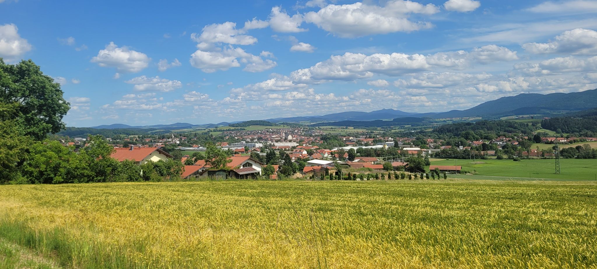Furth im Wald 