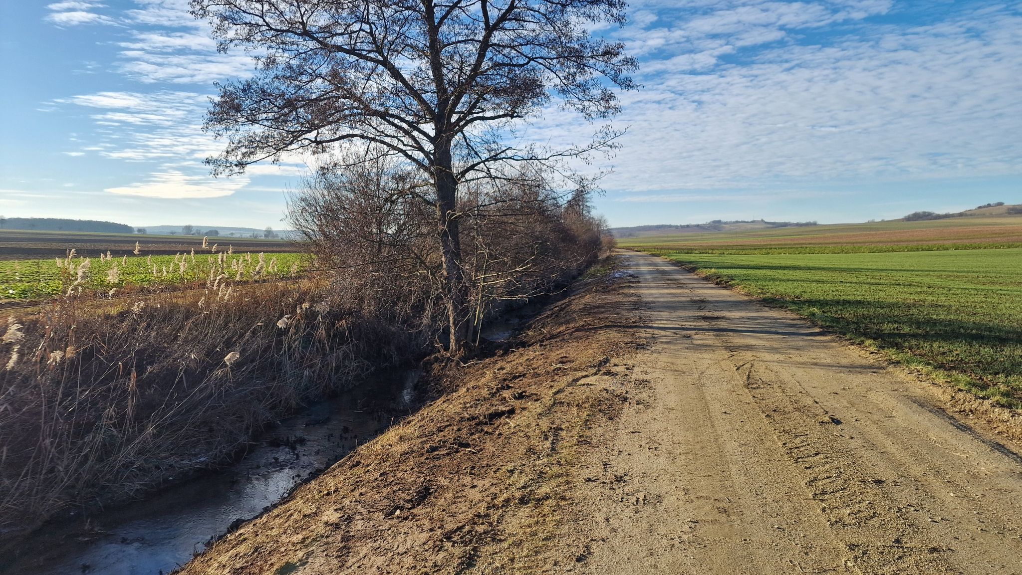Dem Kleinen Göllersbach entlang