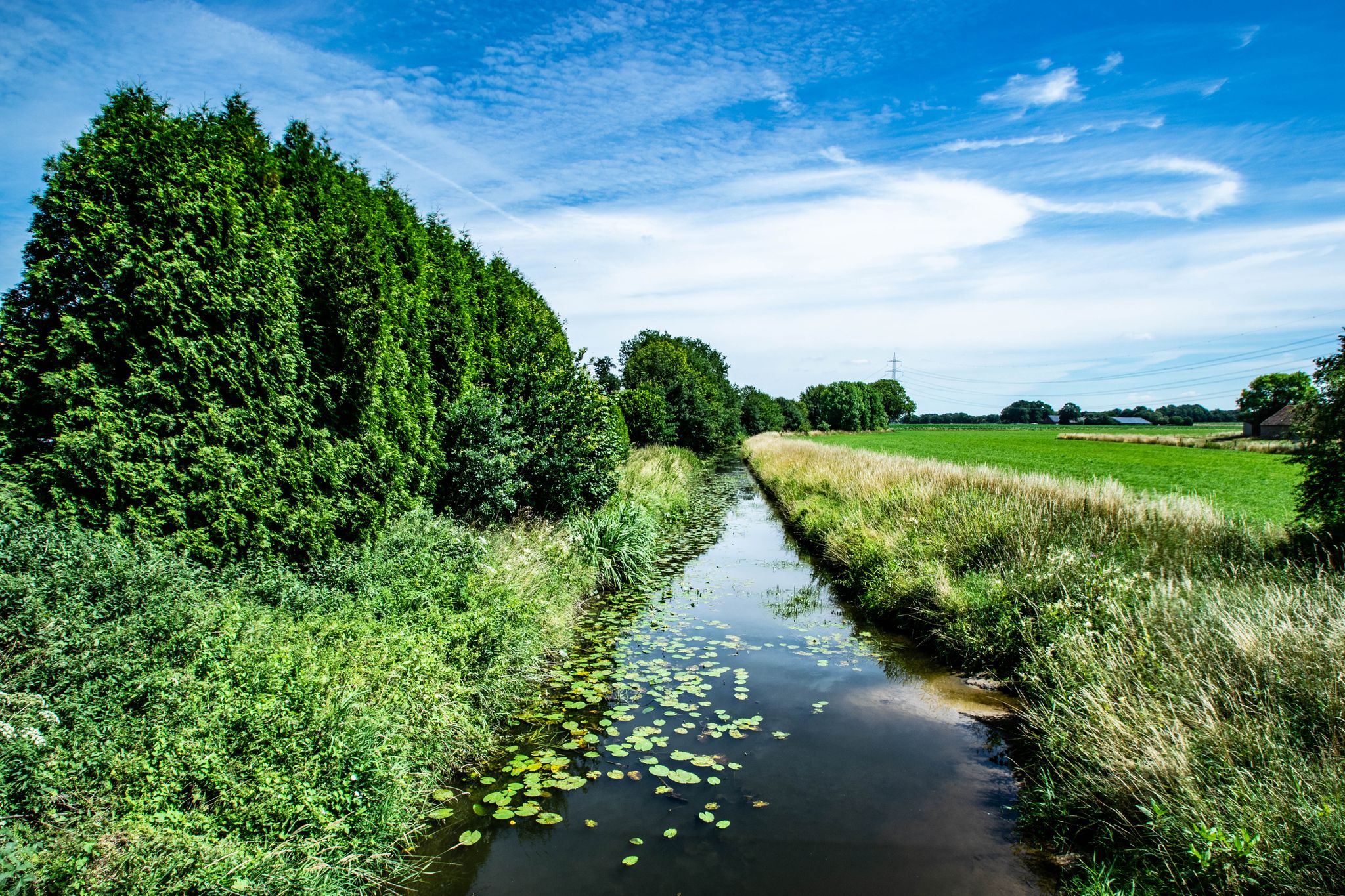 Issel vor Marienthal