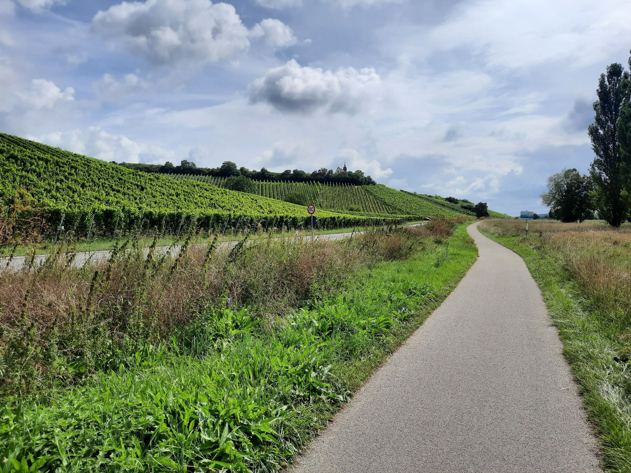 ...hier dominiert der Weinanbau