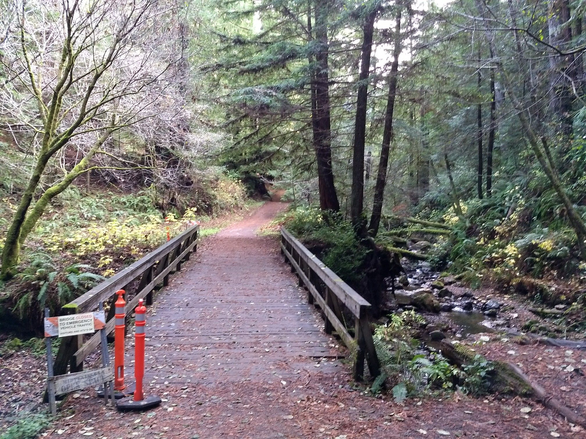Wooden bridge over a rocky stream on a dirt path in a forest. - Purisima Creek, Grabtown Gulch and Borden Hatch Mill Loop