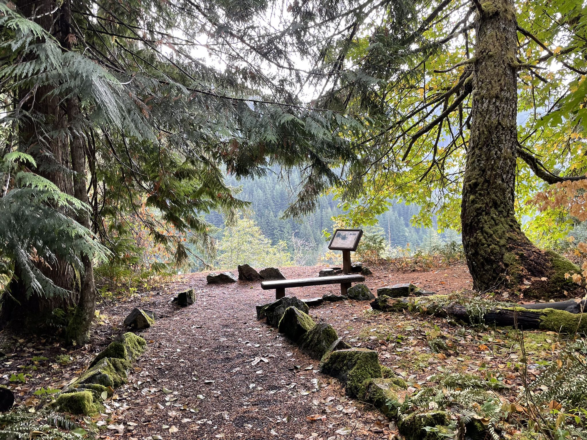 Forest clearing with a wooden bench and sign on a dirt path. - Iron Goat Trail to Twin Tunnels