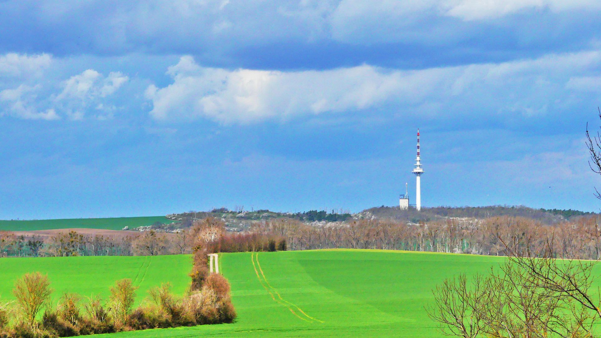 Blick zum Frohser Berg