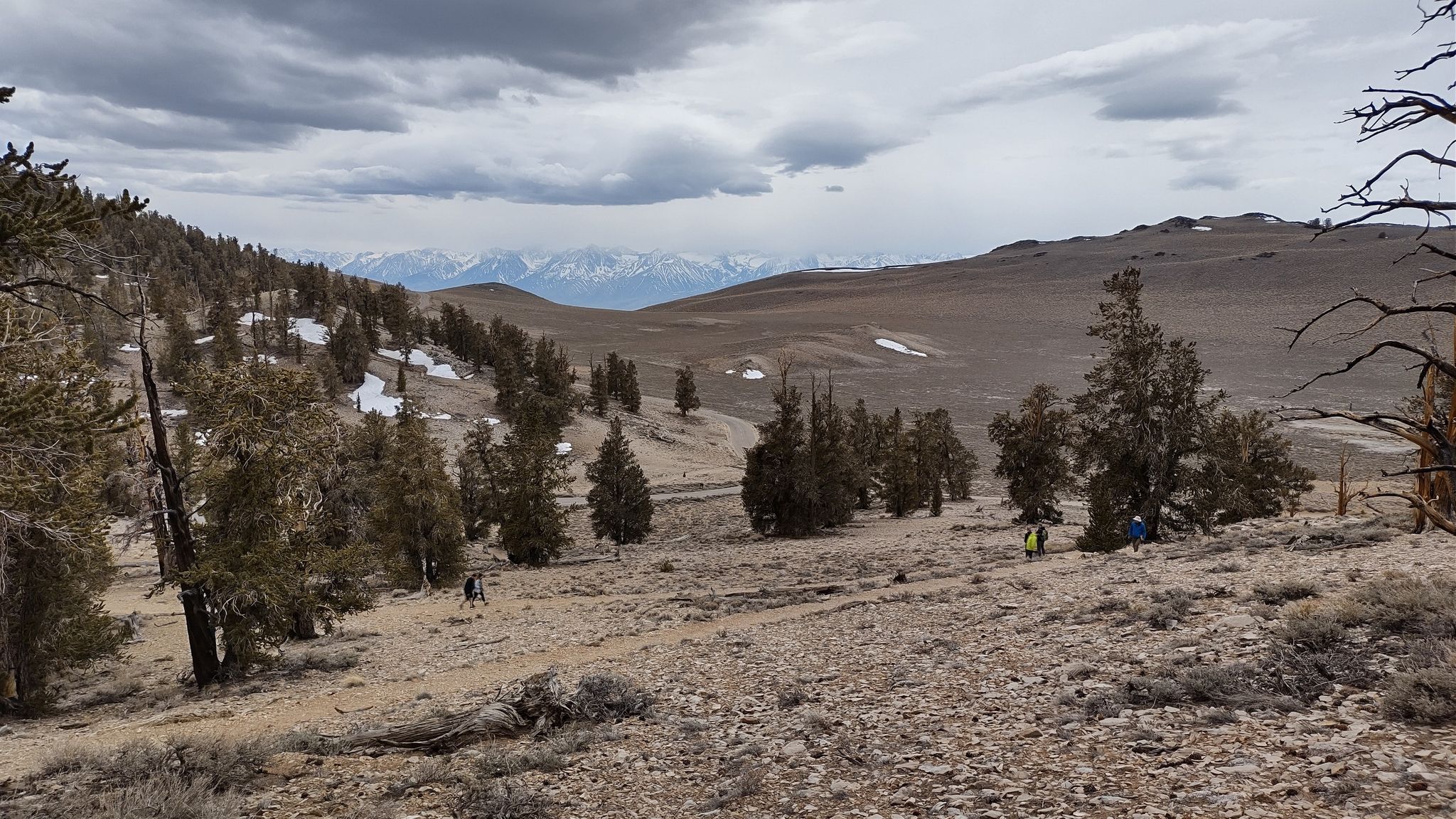 Overcast mountain landscape with scattered trees, snow patches, and distant hikers. - Methuselah Loop Trail