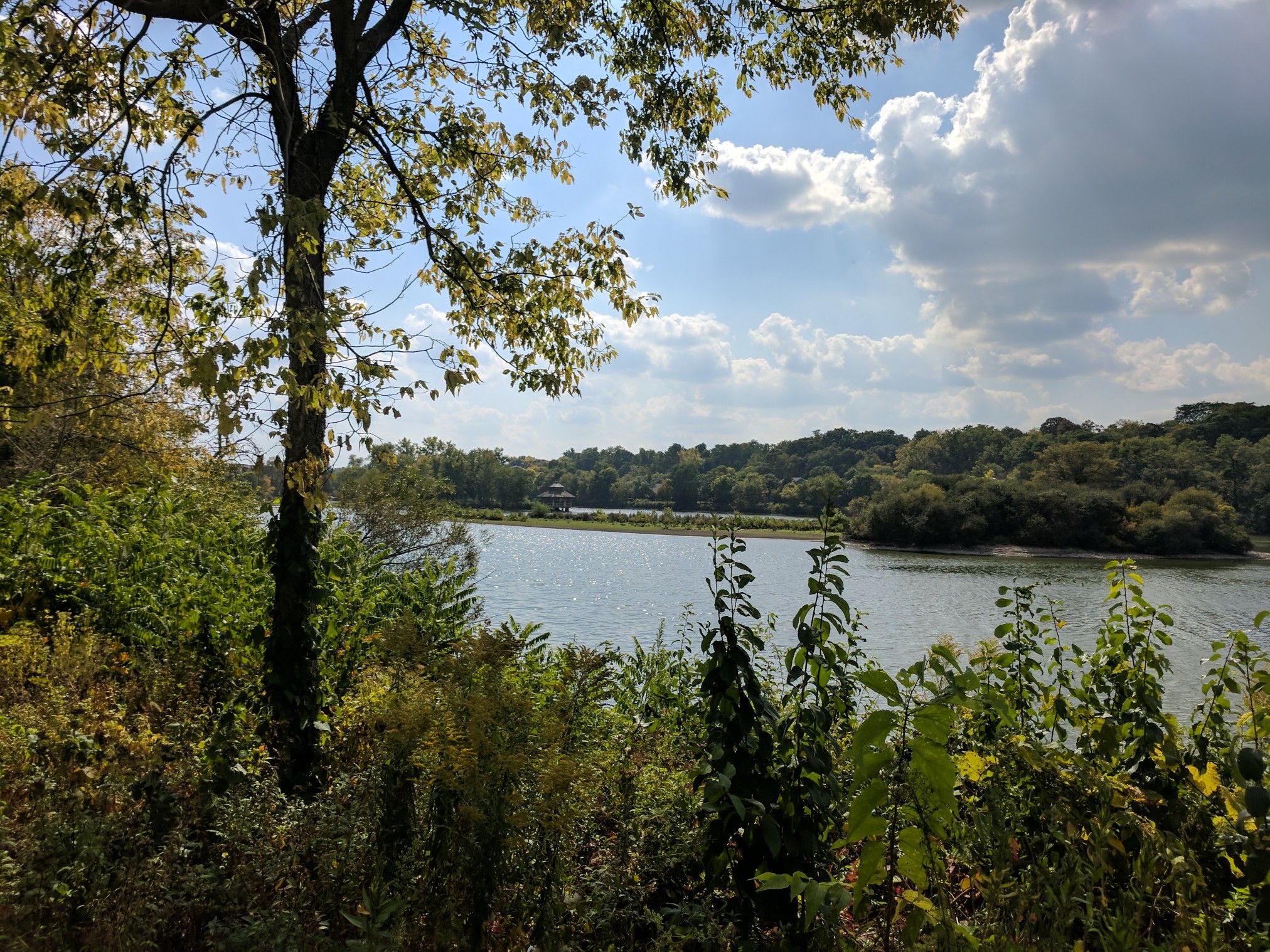 View of a wide river through dense green foliage under a cloudy sky. - Cable bridge – View of Fabyan Windmill loop from Geneva