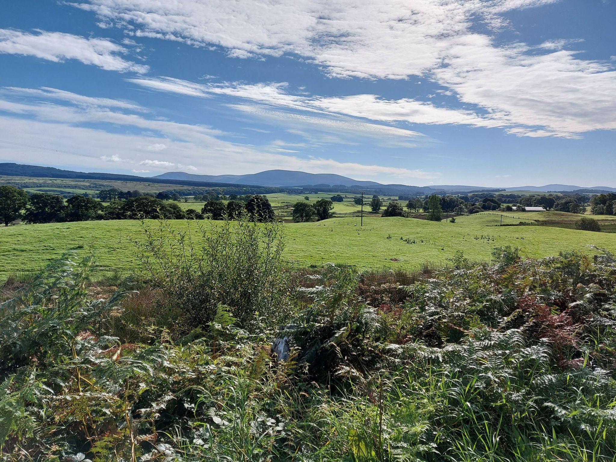 Coming down into Newton Stewart 