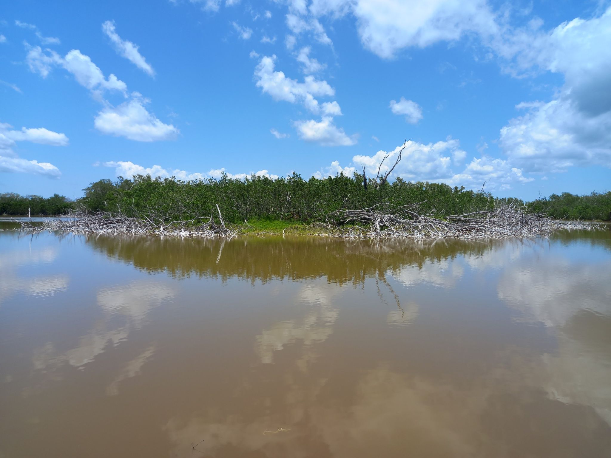 Calm water reflects a cloudy sky and a distant green island. - Eco Pond Trail