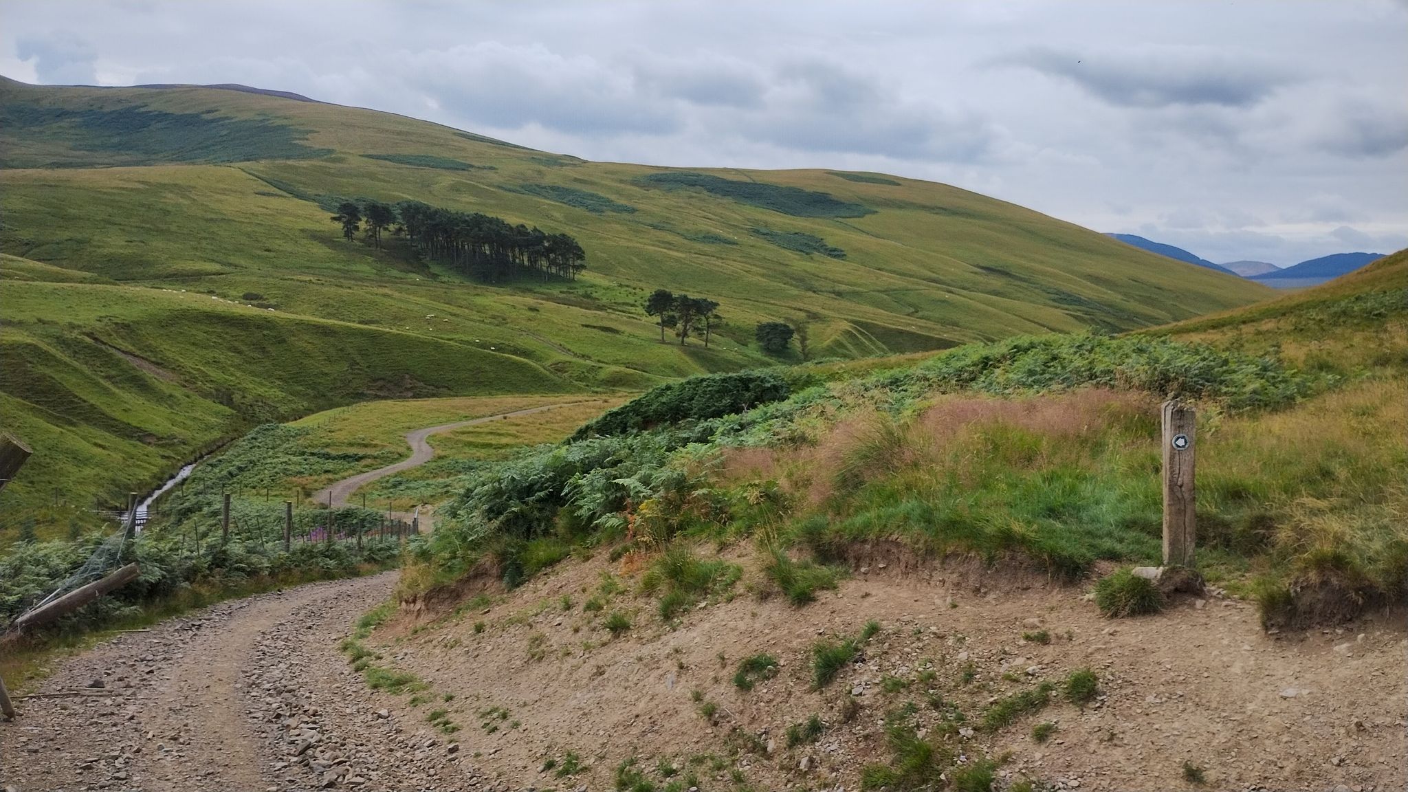 Nearly at the top of the climb.