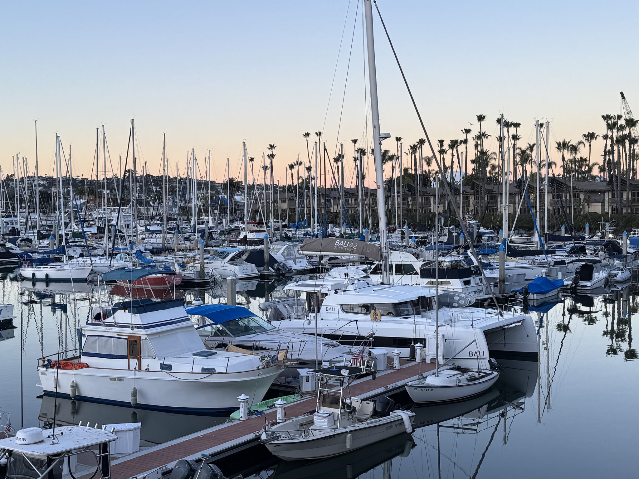 Marina filled with numerous boats and catamarans under soft, early light. - Shelter Island Loop