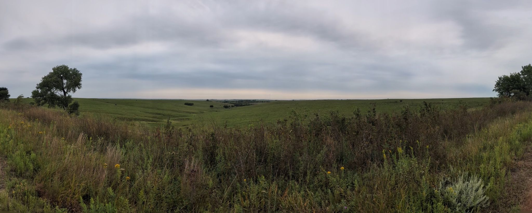 Panoramic view of a vast green prairie landscape under a cloudy sky. - Flint Hills Trail State Park