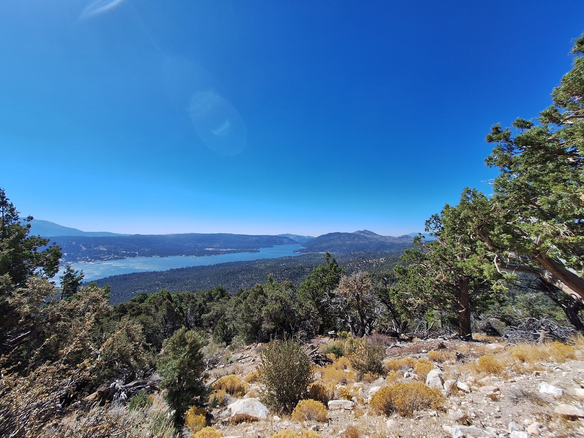 A wide view of a large lake and dense forest under a bright blue sky. - Bertha Peak via Cougar Crest Trail