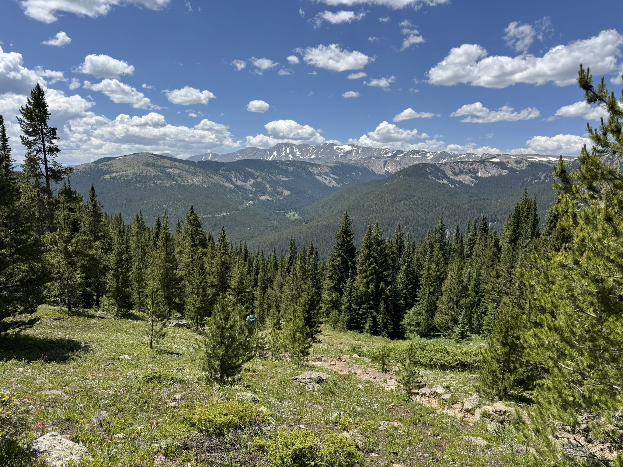 Expansive mountain view with green slopes, dense forest, and distant snowy peaks. - Lookout over Turquoise Lake – Bear Lake loop from CHARLES H. BOUSTEAD TUNNEL