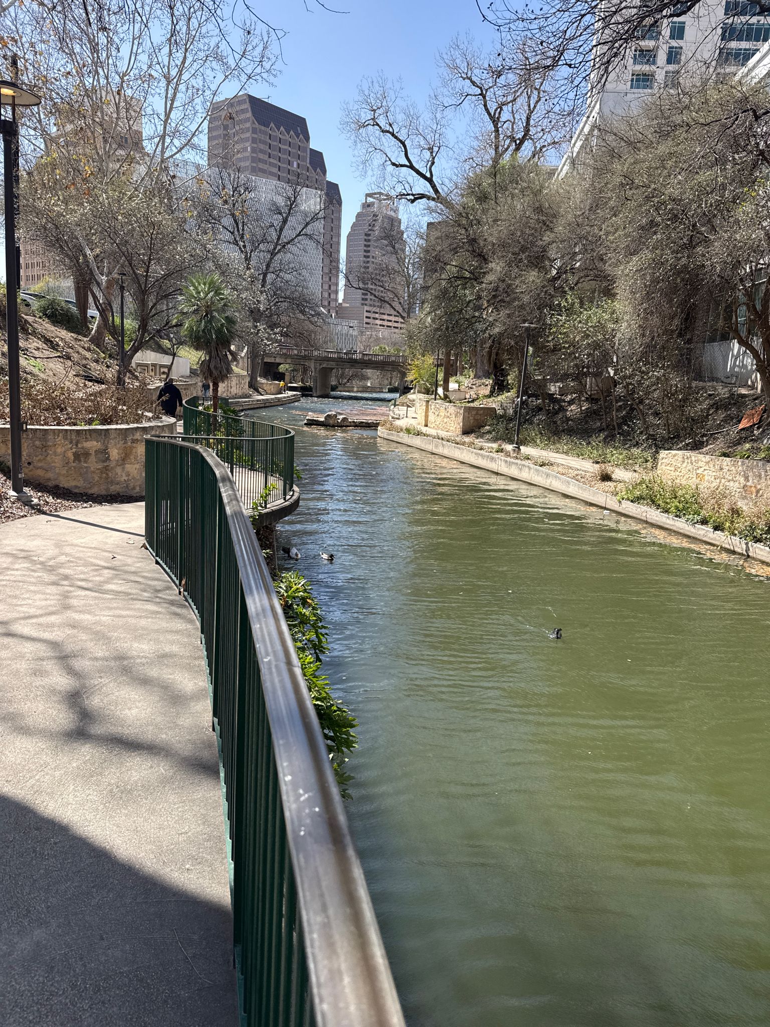 River with a concrete path, green railing, and city buildings on a sunny day. - Alamo Mills Dam – San Antonio River Walk loop from Trinity University
