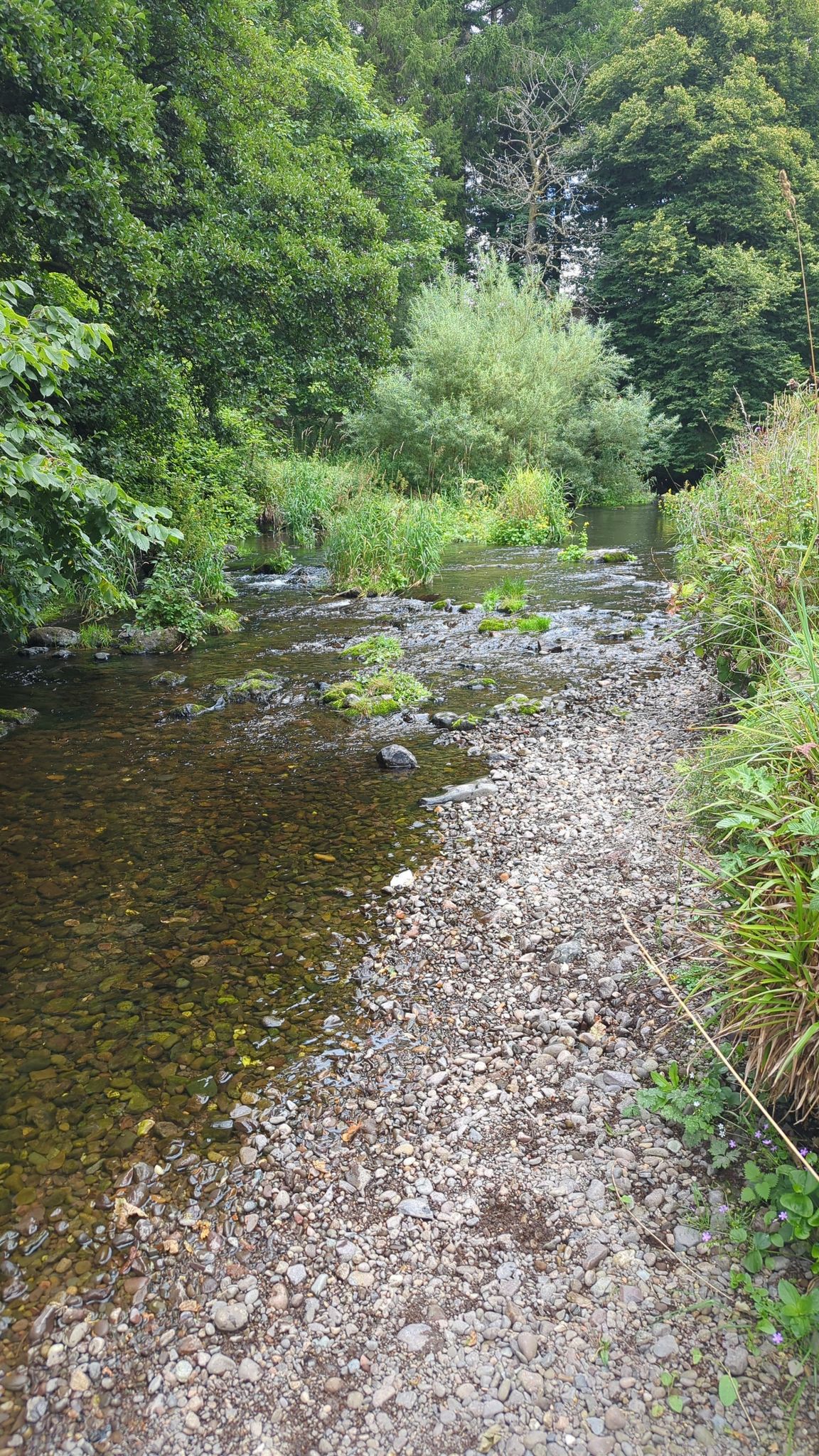 Small pebble beach by waters edge