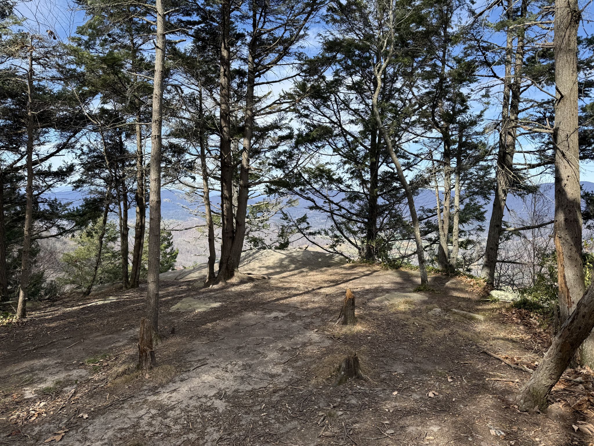 Sunny forest clearing with tall pine trees and distant mountain views. - Strawberry Gap Trail