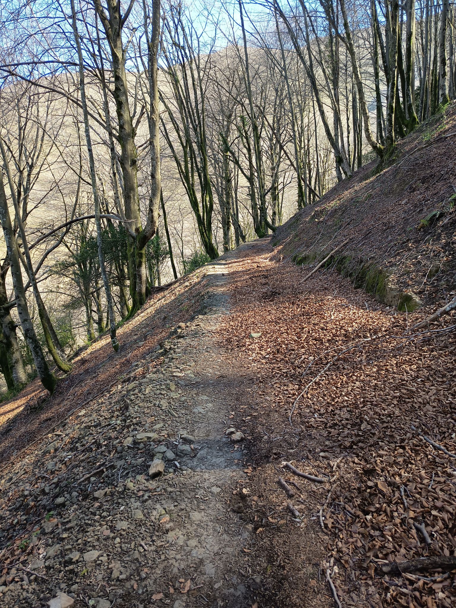 Camino tranquilo y precioso