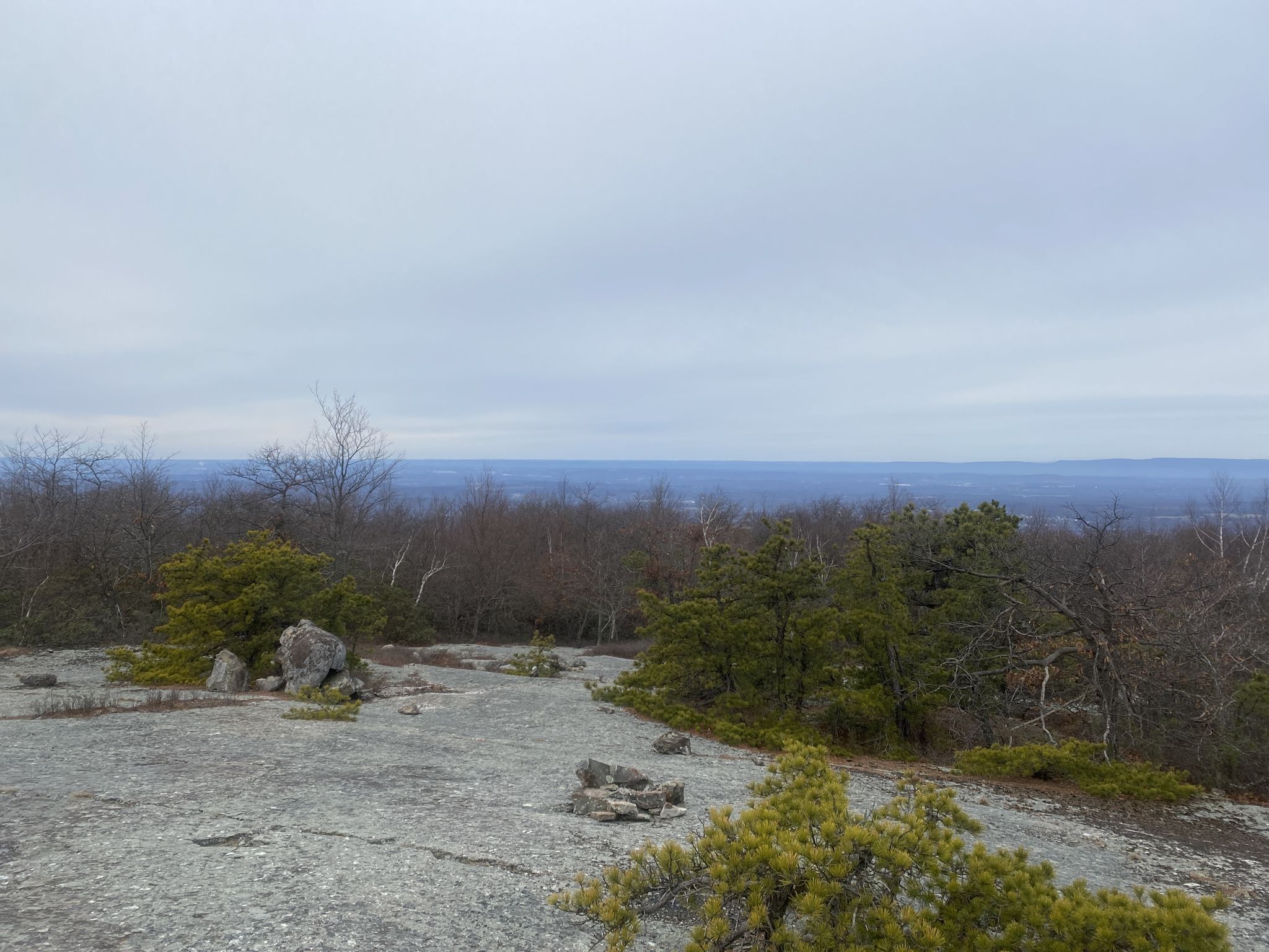 A rocky clearing with sparse trees offers a hazy view under a cloudy sky. - Schunemunk Mountain via Western Ridge Trail Loop
