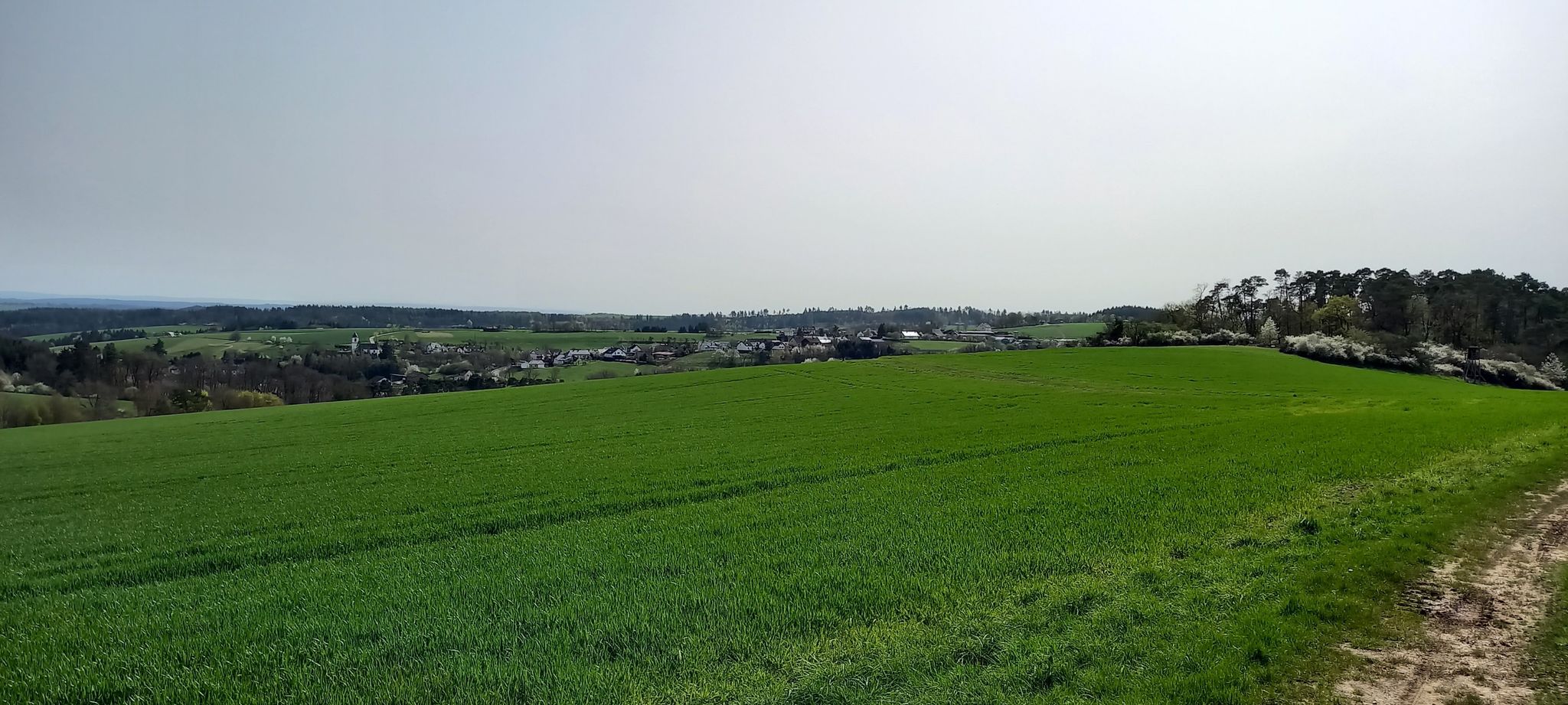 Demerath