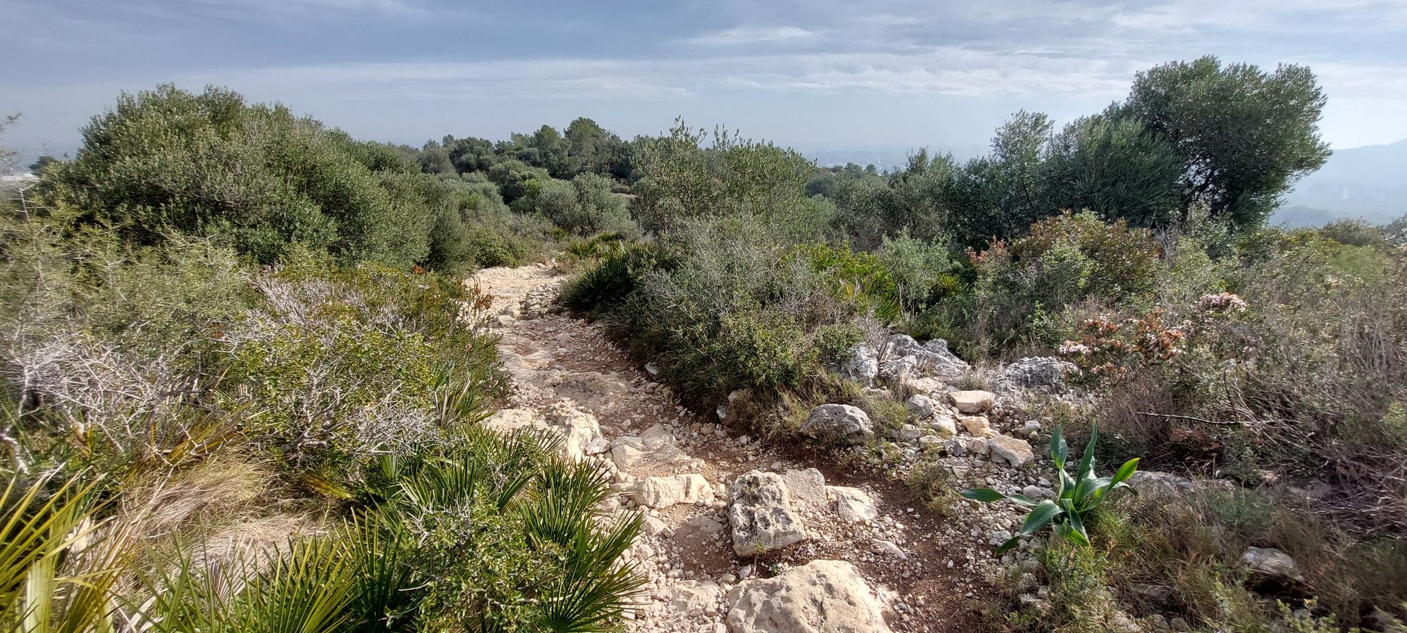 Wunderschöner Gebirgswanderweg mit toller Aussicht