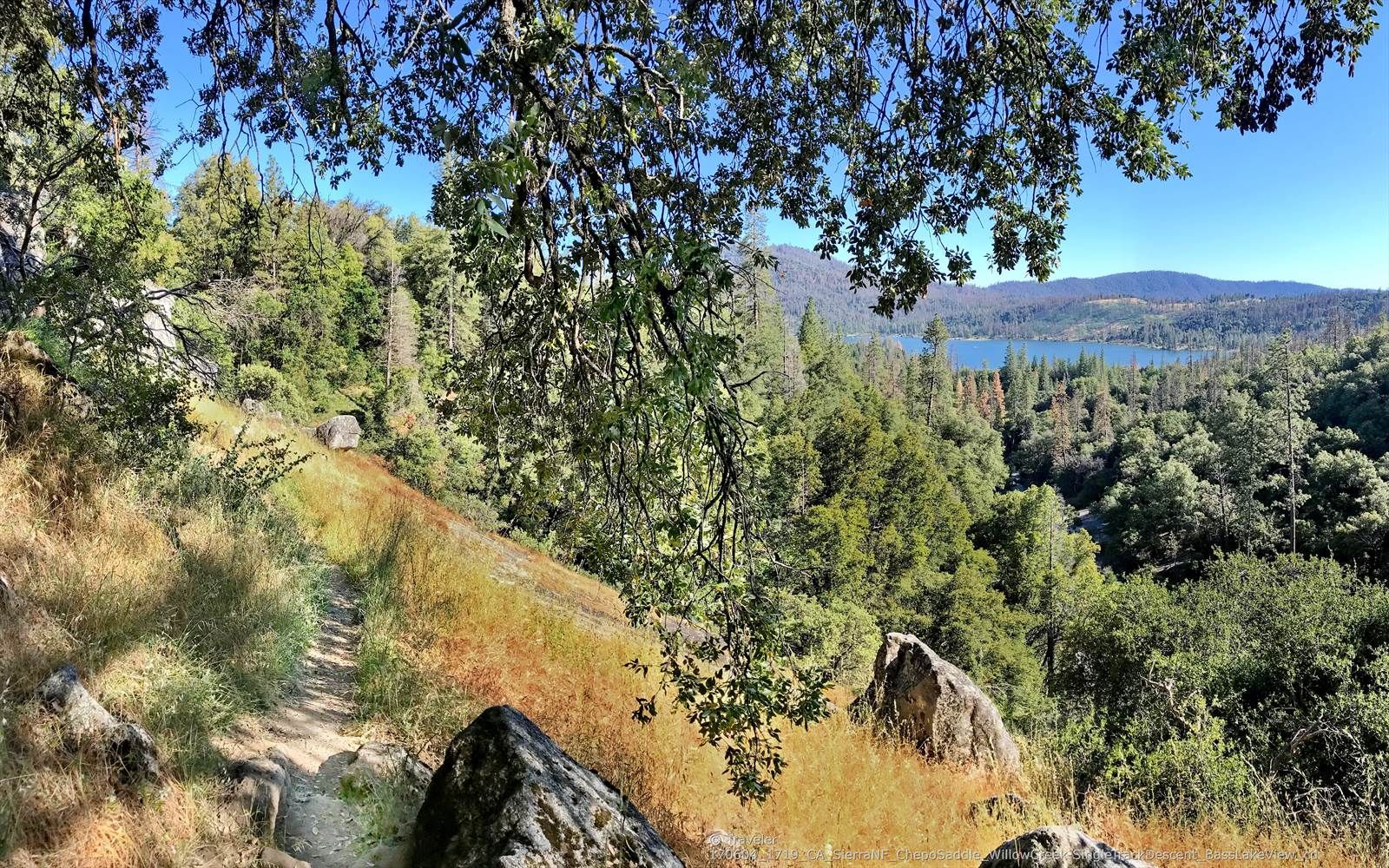 A sunny dirt path winds through trees overlooking a distant lake. - Angel Falls and McCleod Flat Loop