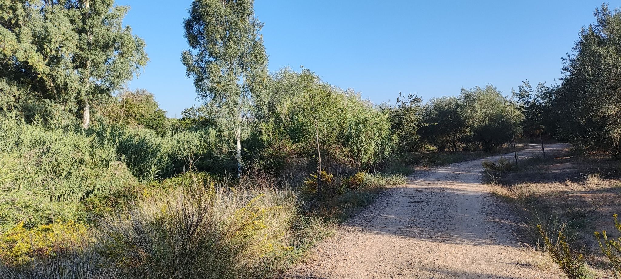 Río Pudio