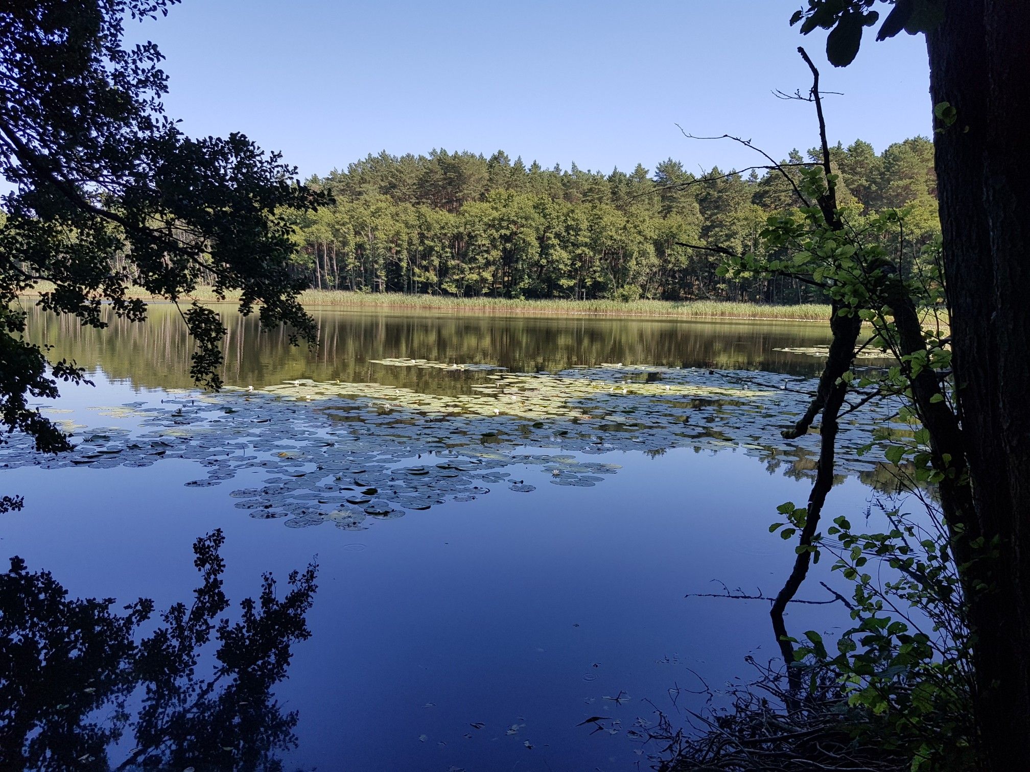 Schulzensee 