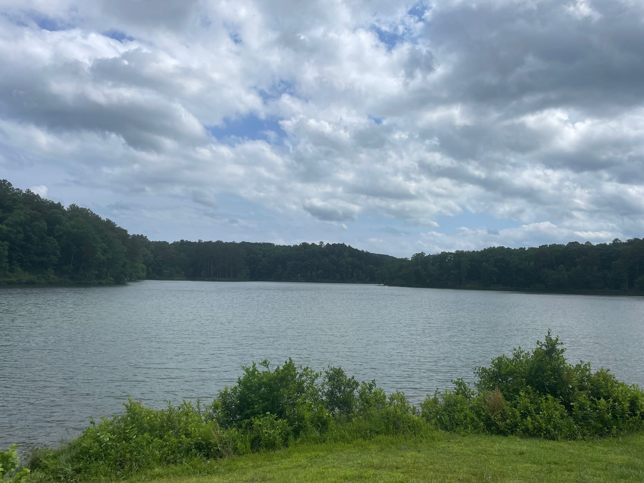 A wide lake surrounded by forested hills under a cloudy sky. - Lake Russell & Nancytown Lake Loop — Lake Russell State Wildlife Management Area