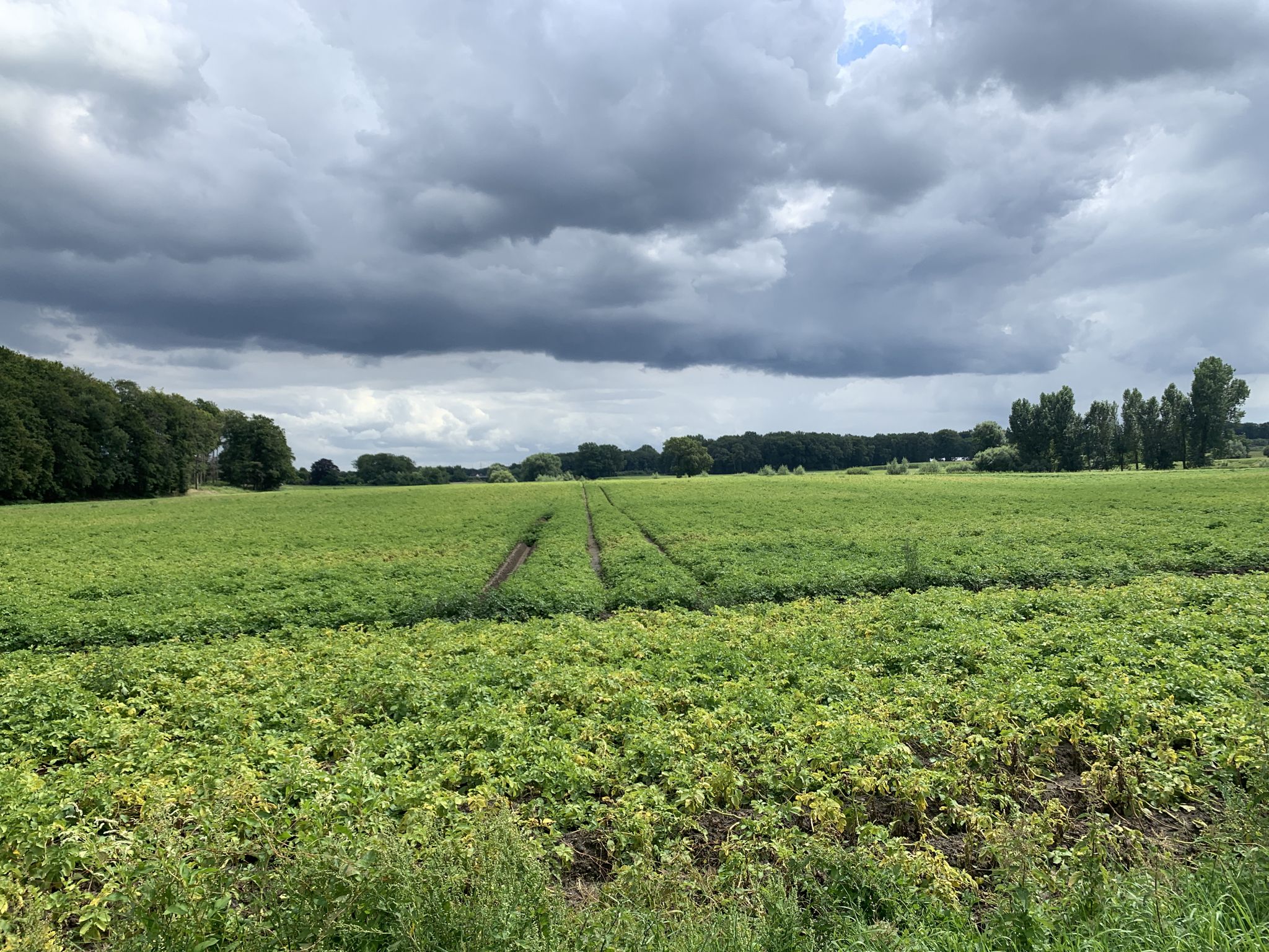 Bedrohliche Wolken