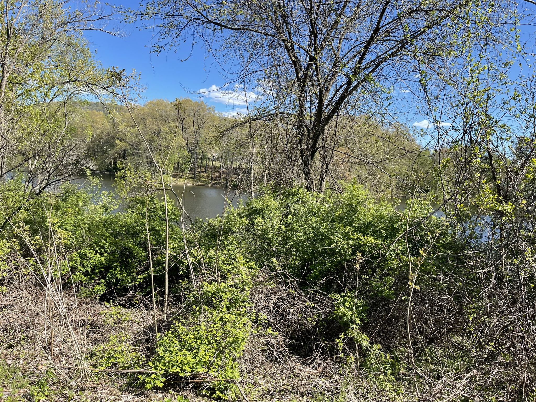View of calm water through dense green bushes and trees on a sunny day. - Mount Tom State Reservation – Rubber Thread Pond loop from NORTH / GUN CLUB